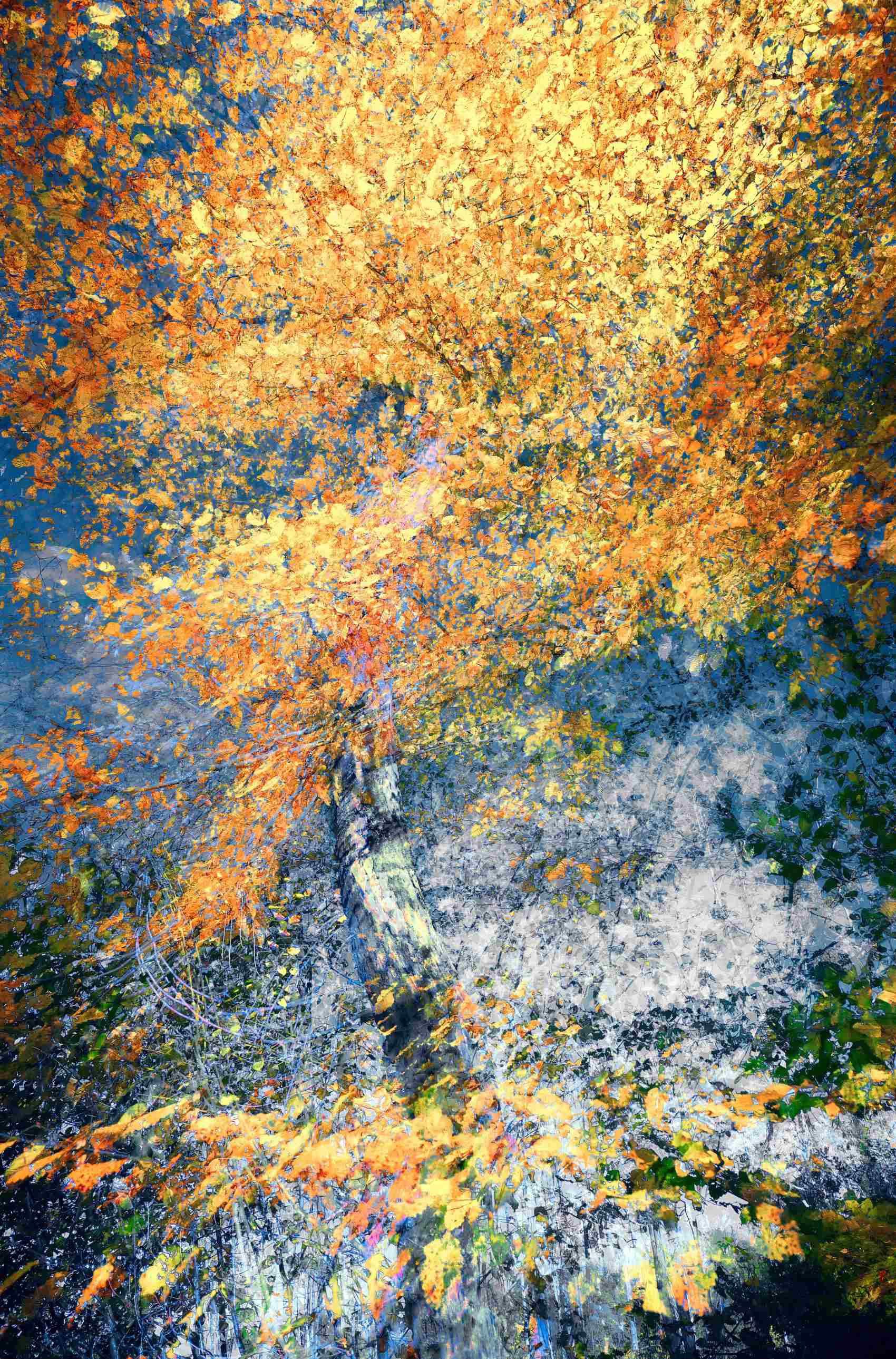 Abstract autumn tree with swirling red, orange, and yellow leaves captured using ICM technique. From Oleksandr Shapovalov  “The Spirit Tree” photograph in the Caress of Time series.