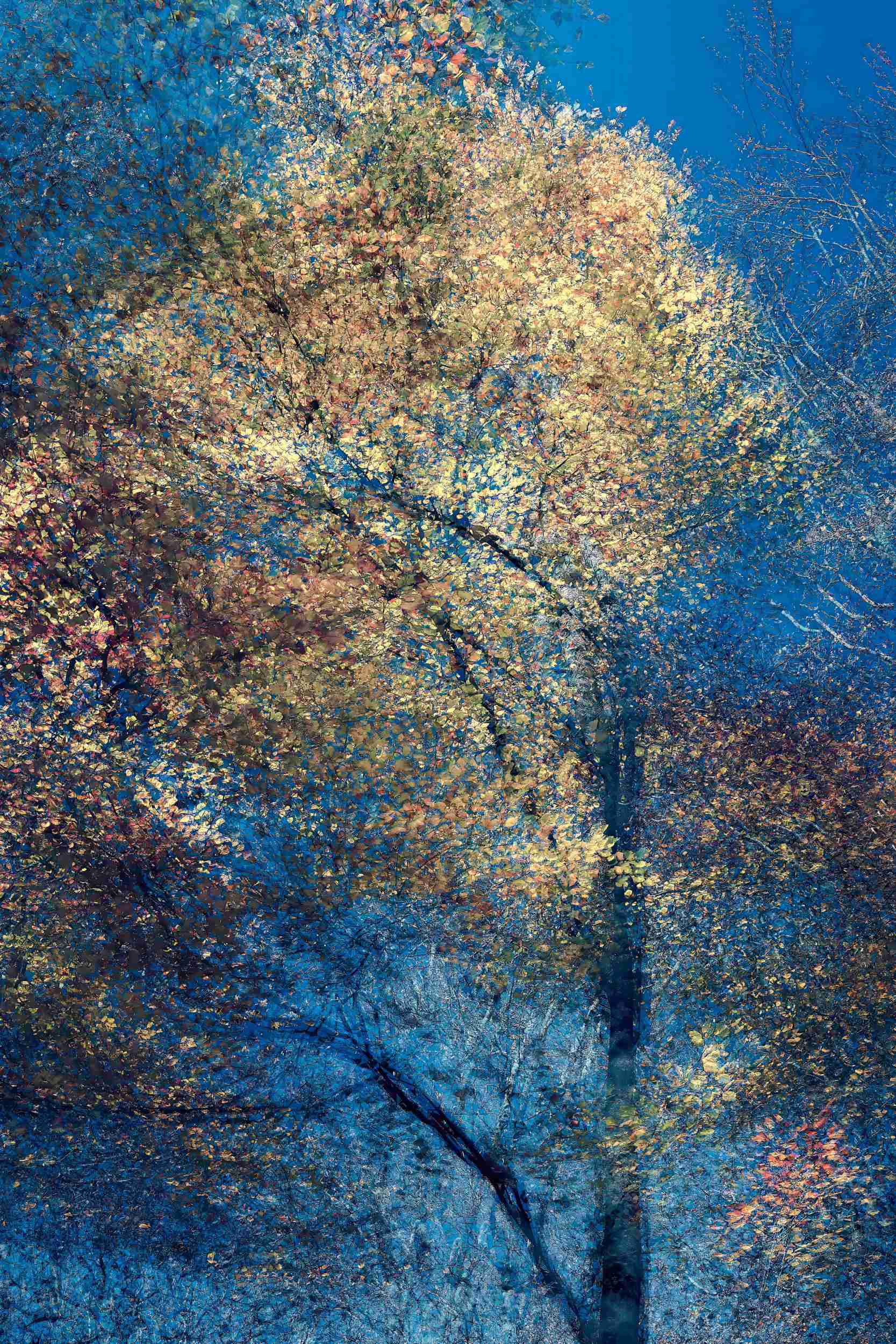 Explore Phantom Structures: Energy of Light and Color by Oleksandr Shapovalov. Abstract fine art landscape photography created in-camera using ICM techniques.