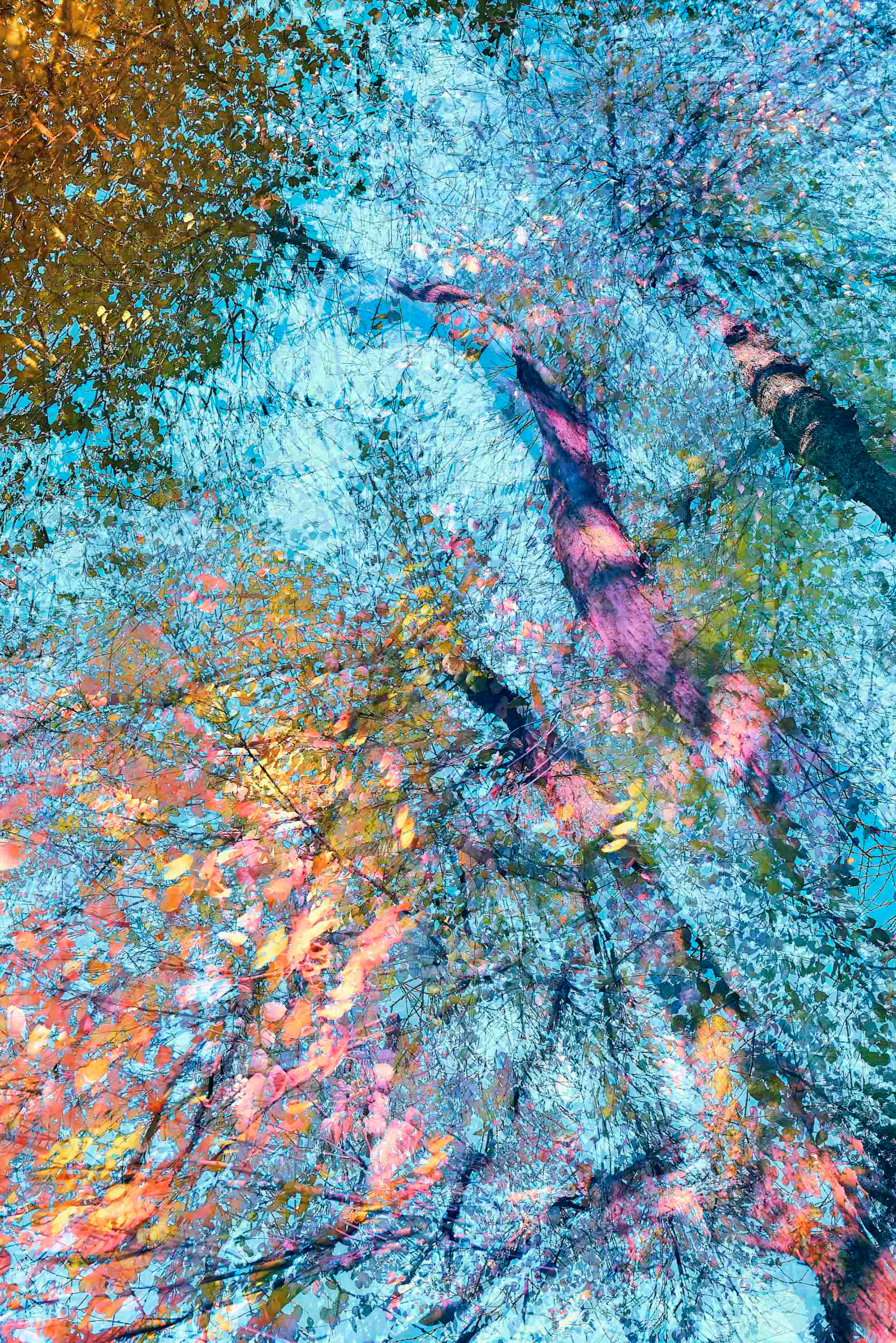 Phantom Trees I by Oleksandr Shapovalov. Abstract fine art photography of a forest as a living keeper of memory, painting with the camera using in-camera multiple exposure, no Photoshop
