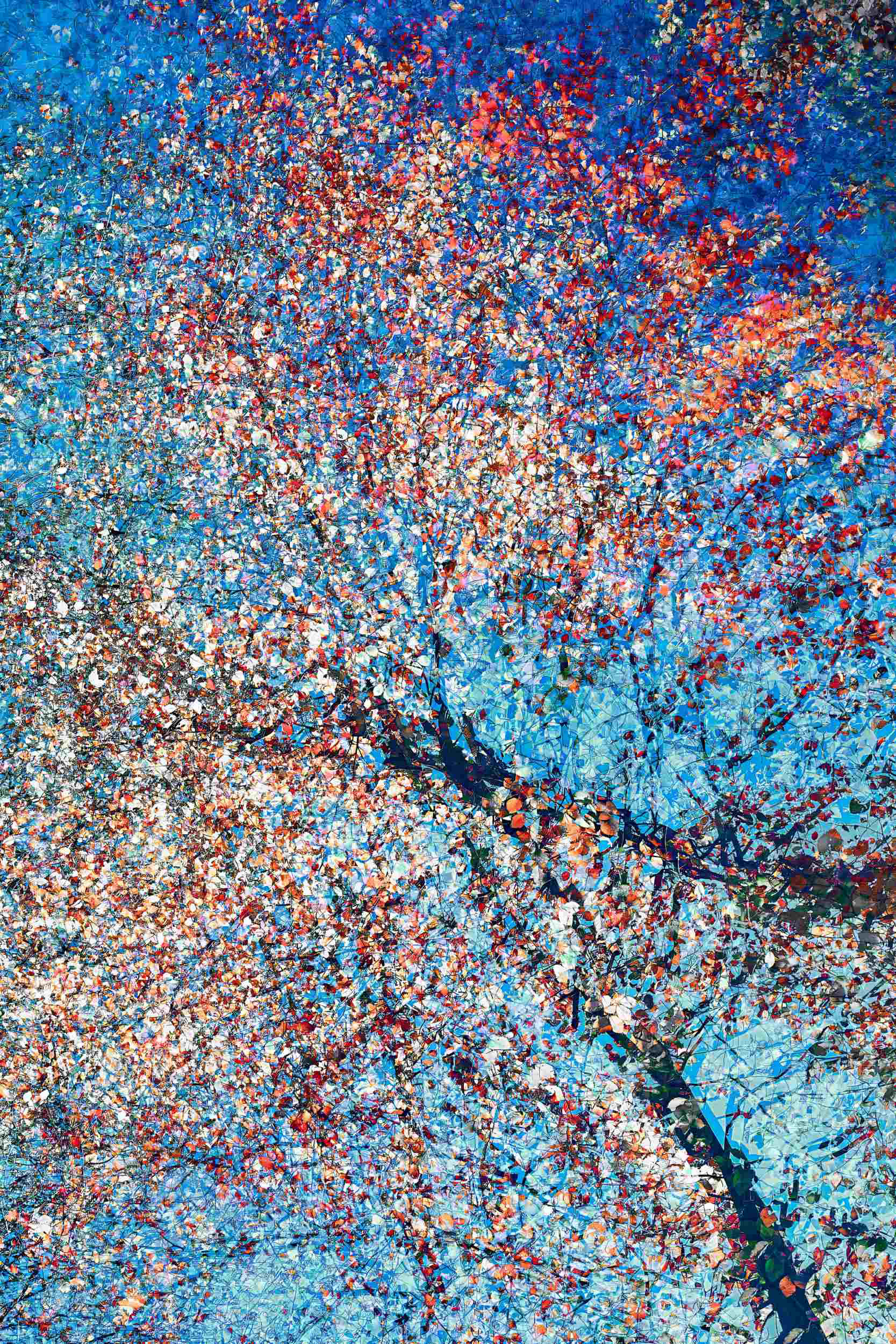 Atmospheric abstract nature art with unique color development by Oleksandr Shapovalov. Vibrant light layers and organic shapes created through signature multiple exposure technique.