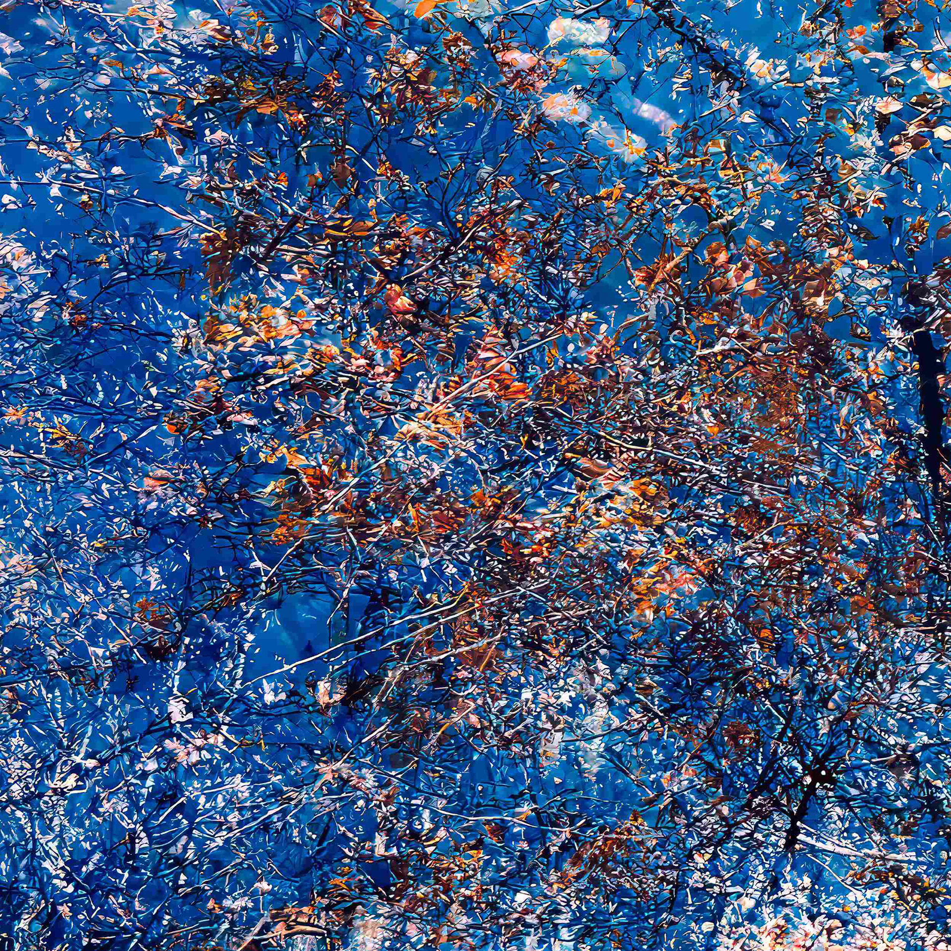 Detail