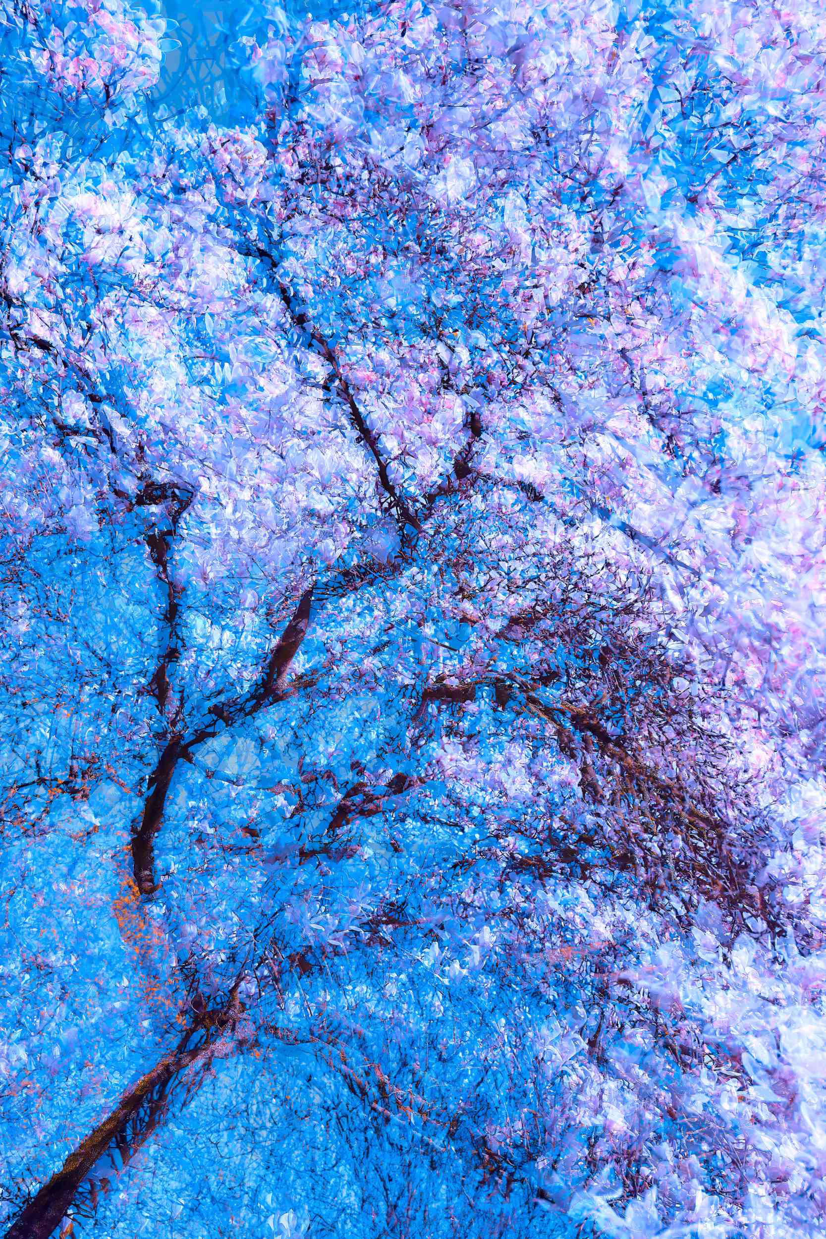 Fine art abstract forest photography with expressive movement and color interpretation.