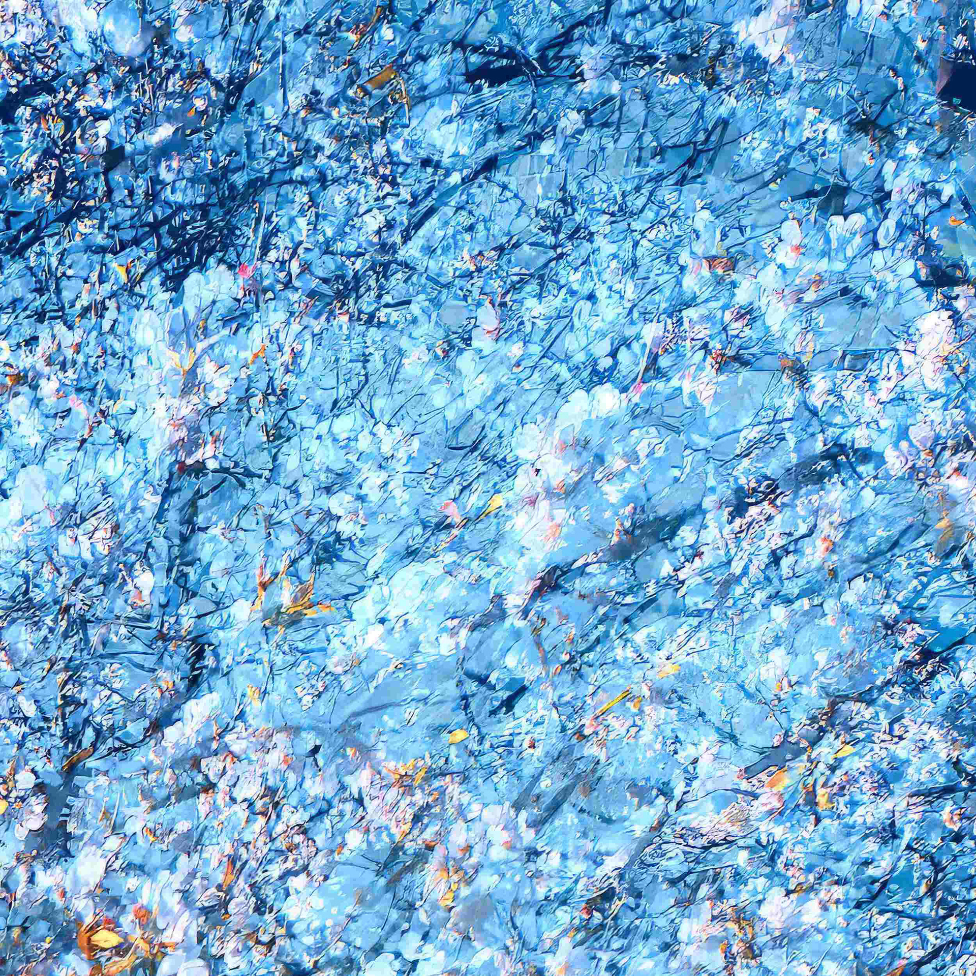 Detail