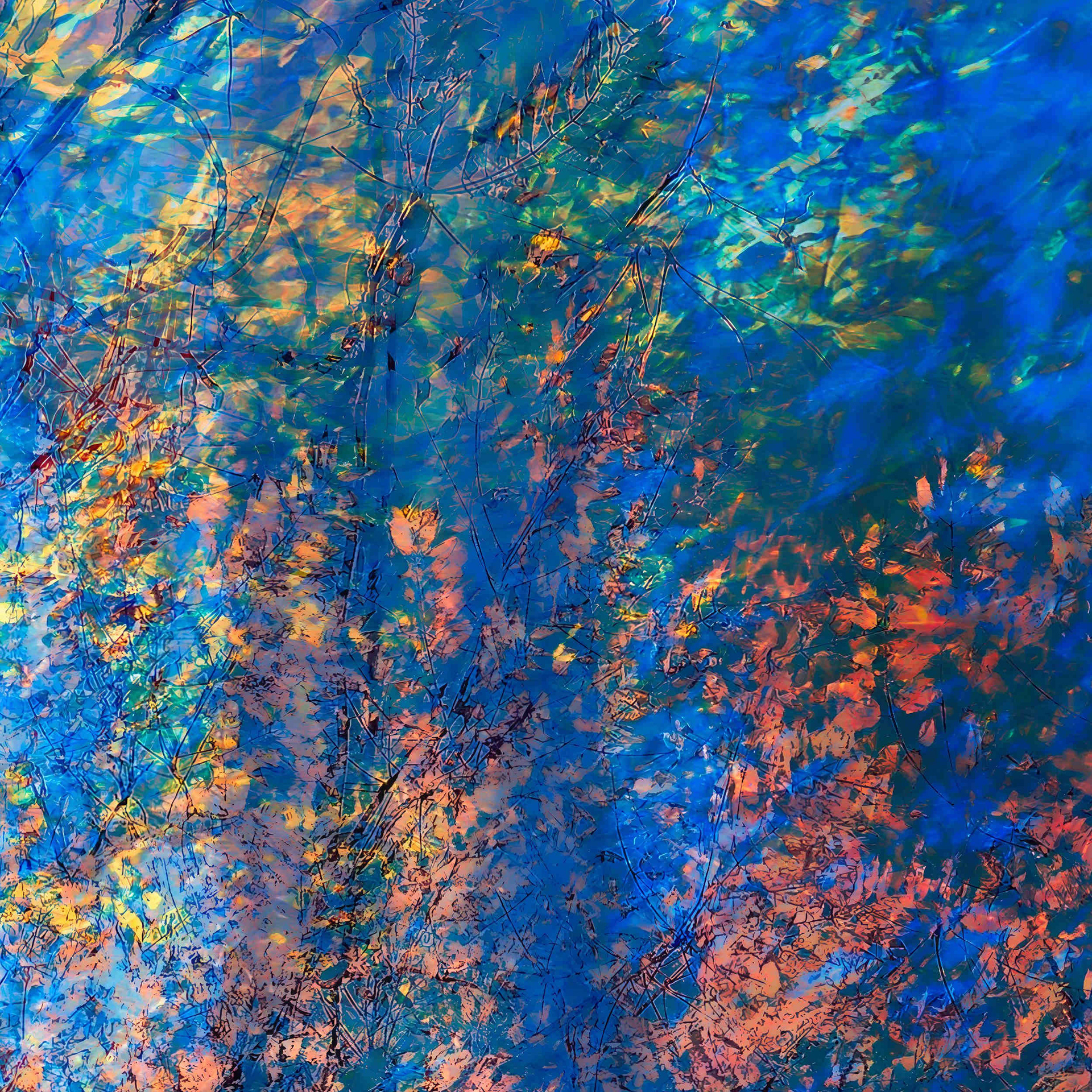Detail