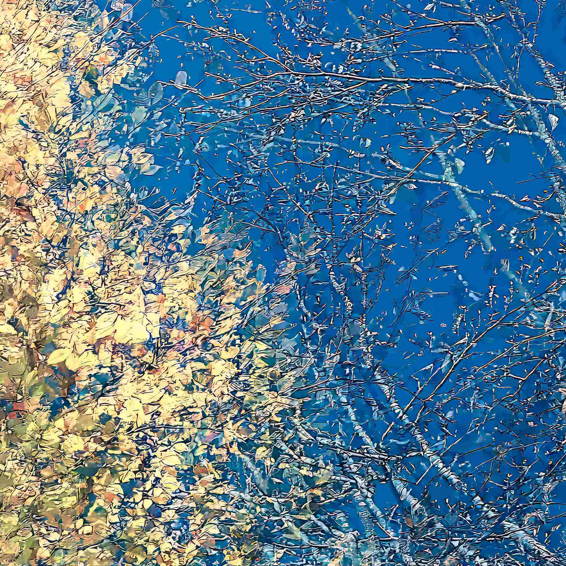Detail