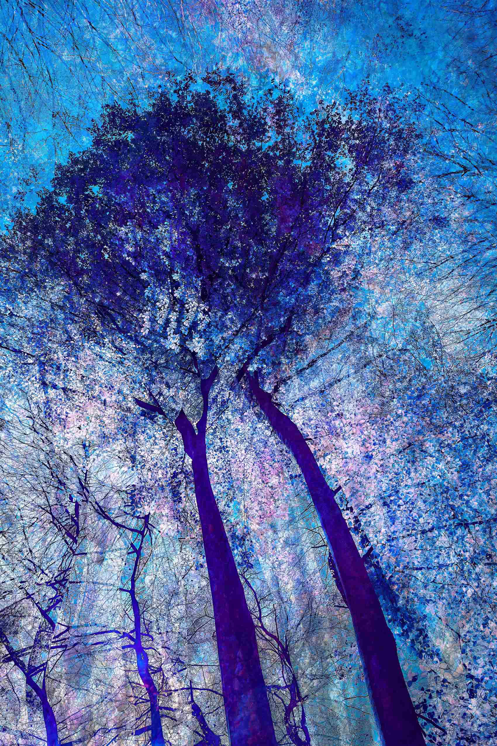 Upward view of tall trees with abstract motion effect, captured using ICM technique. From Oleksandr Shapovalov “The Shaman’s Ascent” series