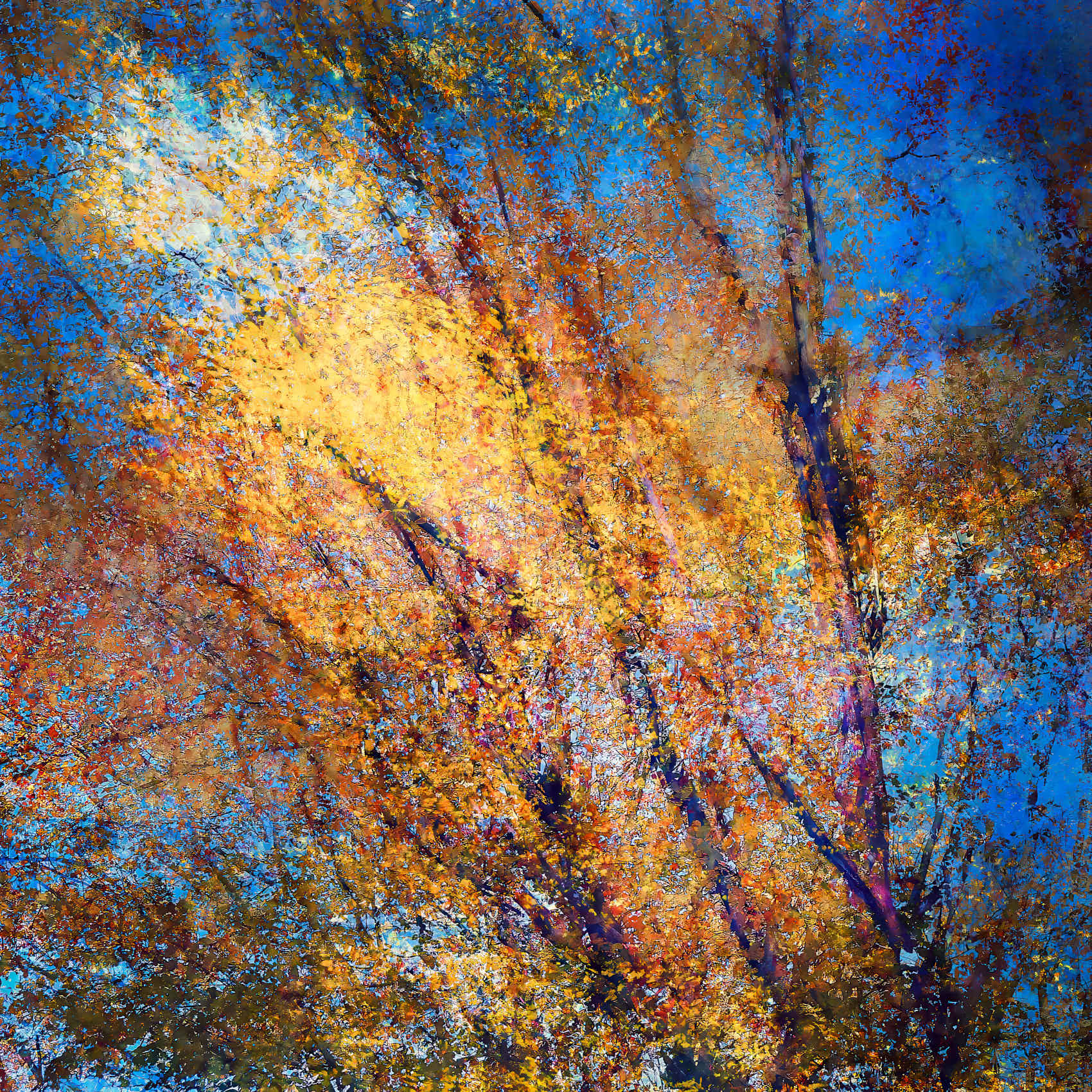 Oleksandr Shapovalov Fine Art Photography
