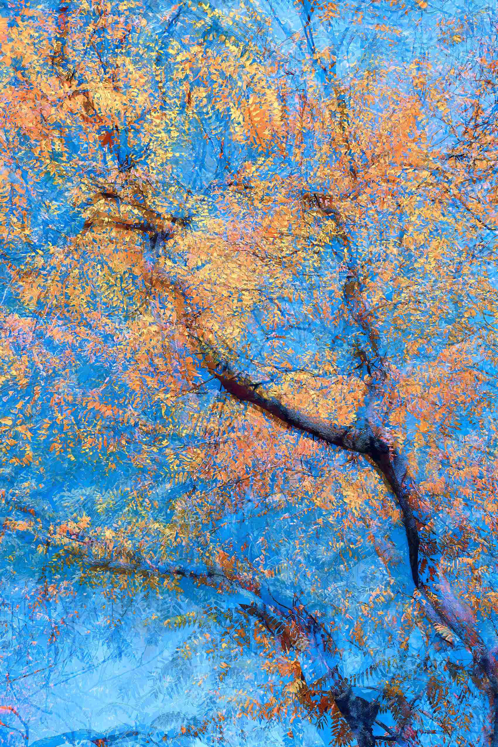 Artistic photo of fall leaves and branches in motion, blending color and breath in a dreamlike style.