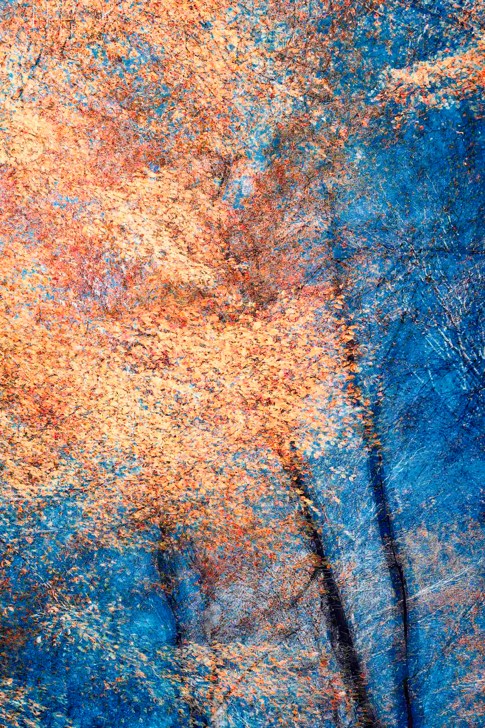 Abstract forest wall art
