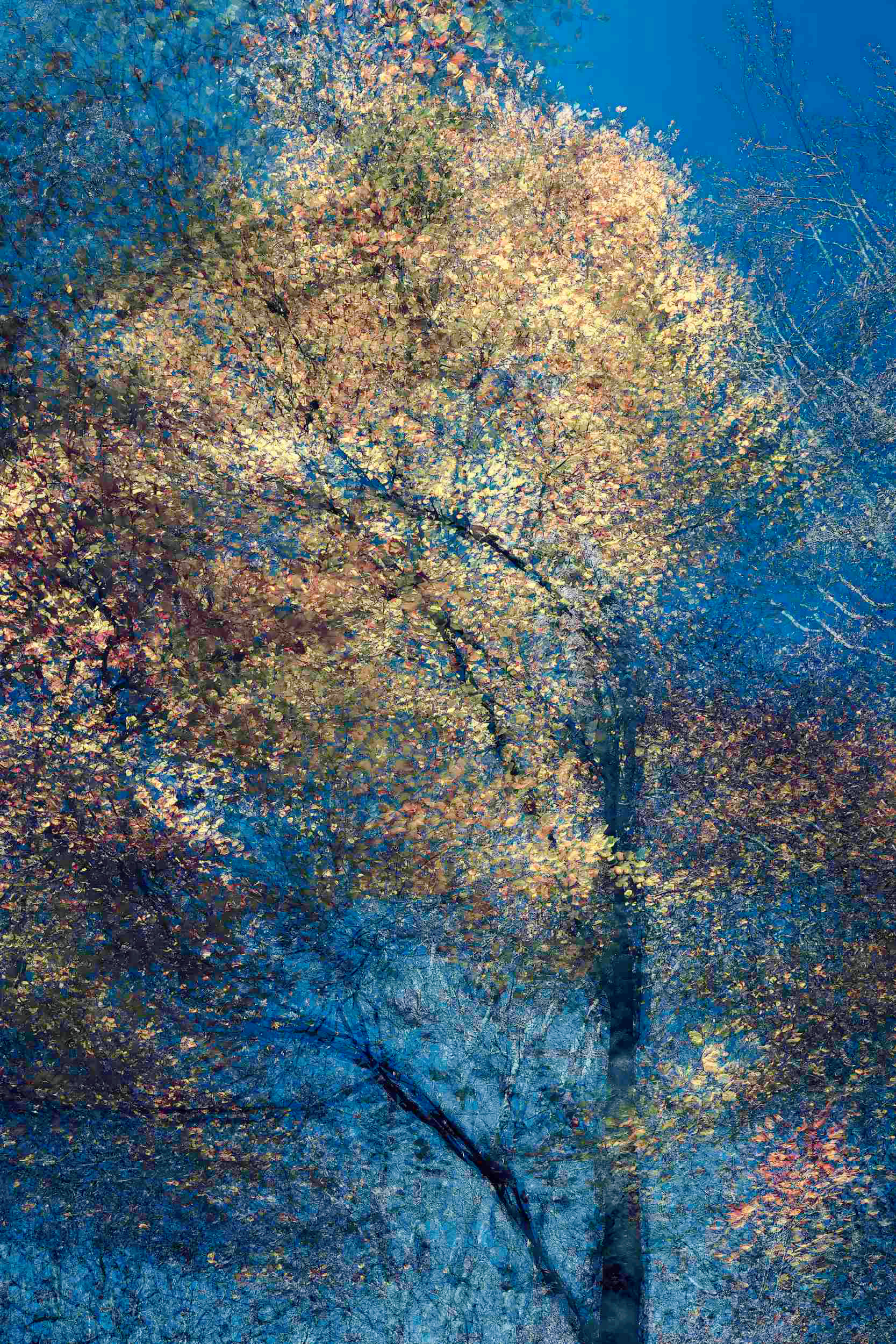 Abstract autumn tree rendered as luminous layers of yellow and green foliage against a deep blue sky, forming phantom‑like structures of light and color.