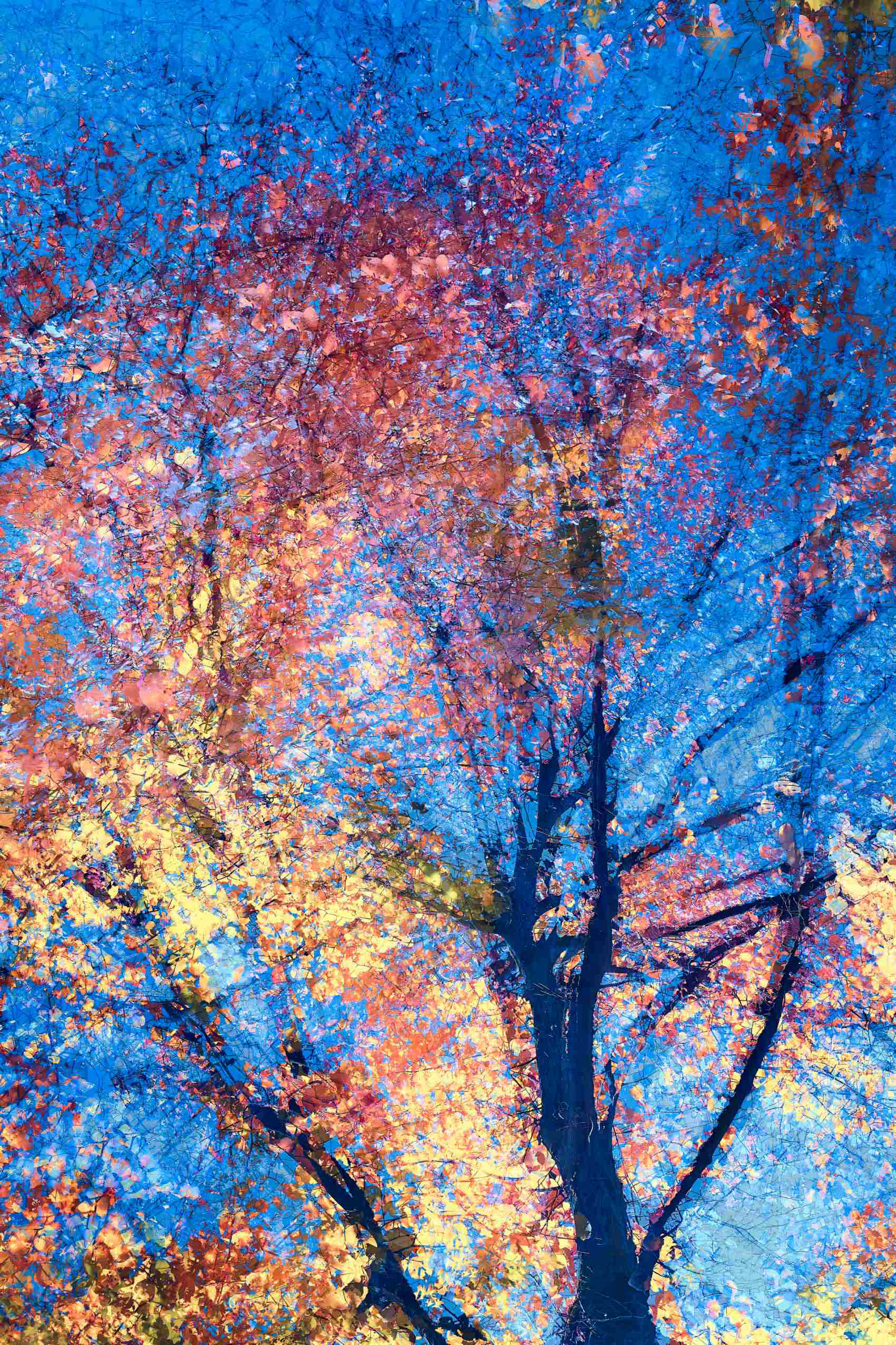 Abstract piece by Oleksandr Shapovalov exploring the interplay of light, color, and form in nature