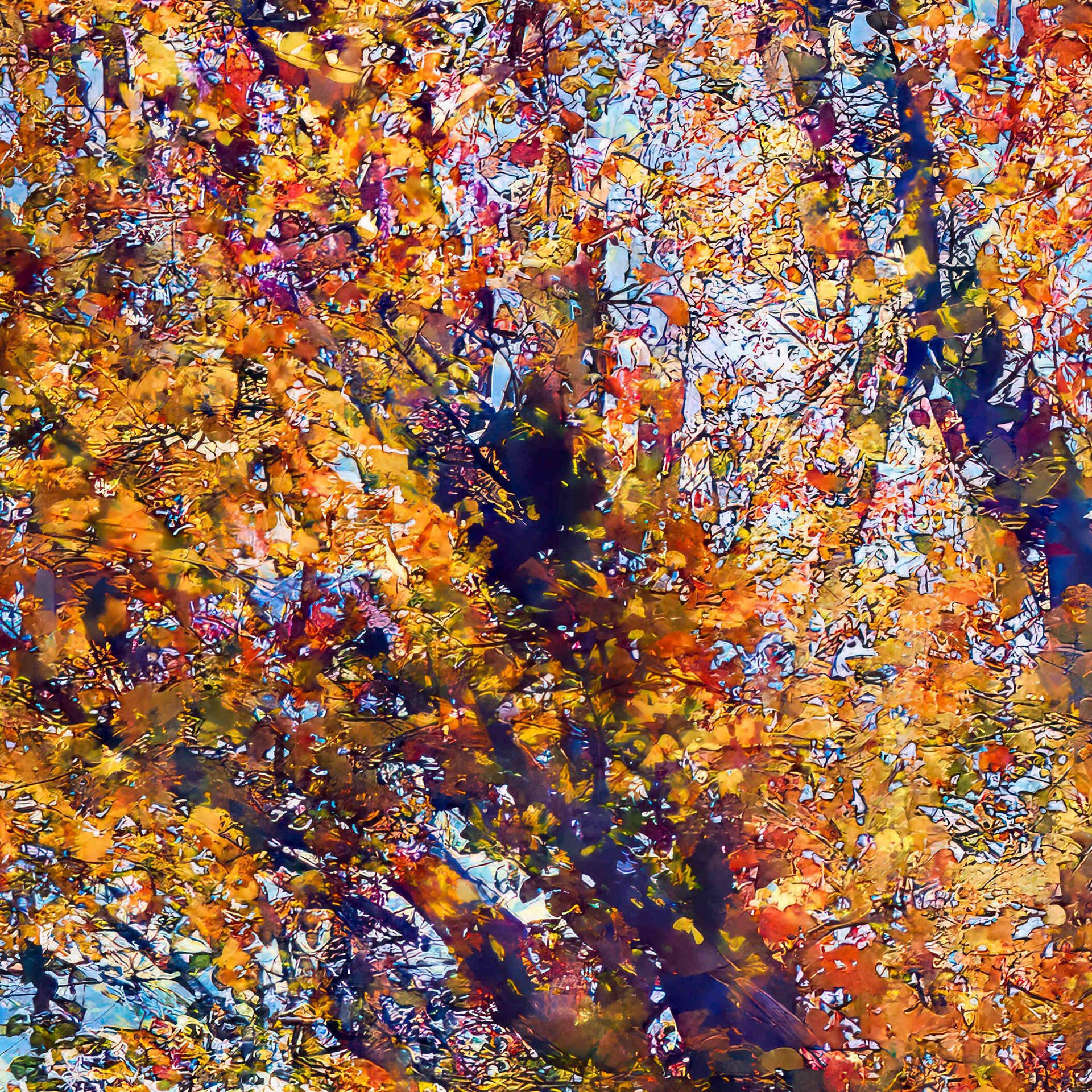 Detail