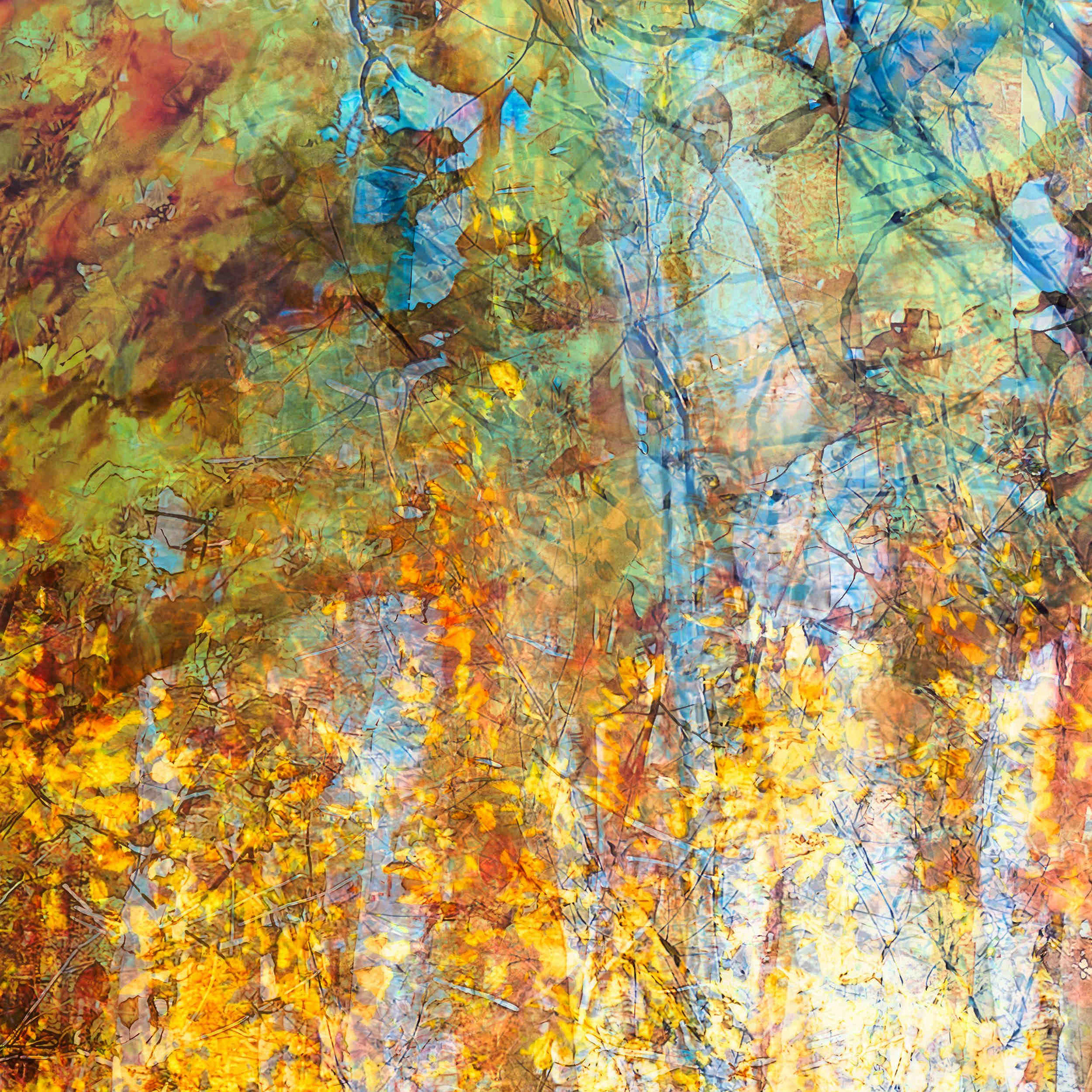 Detail