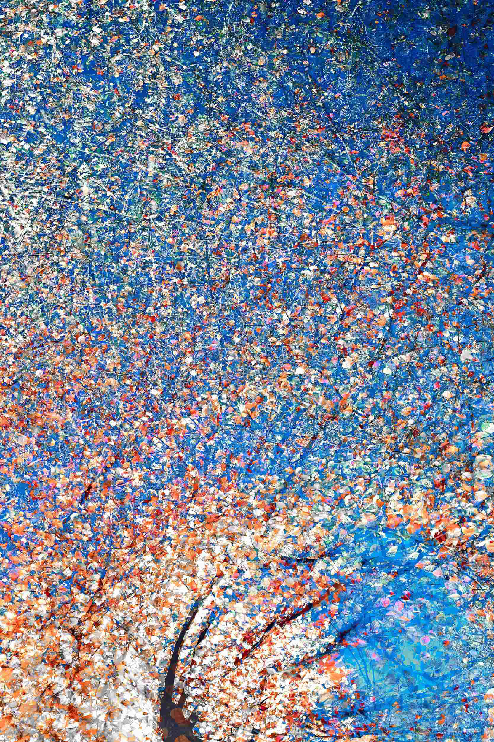 Ecstatic Energy II fine art photography. Conceptual abstract nature image exploring the inner rhythm and gestural movement of tree branches, unique camera motion without Photoshop