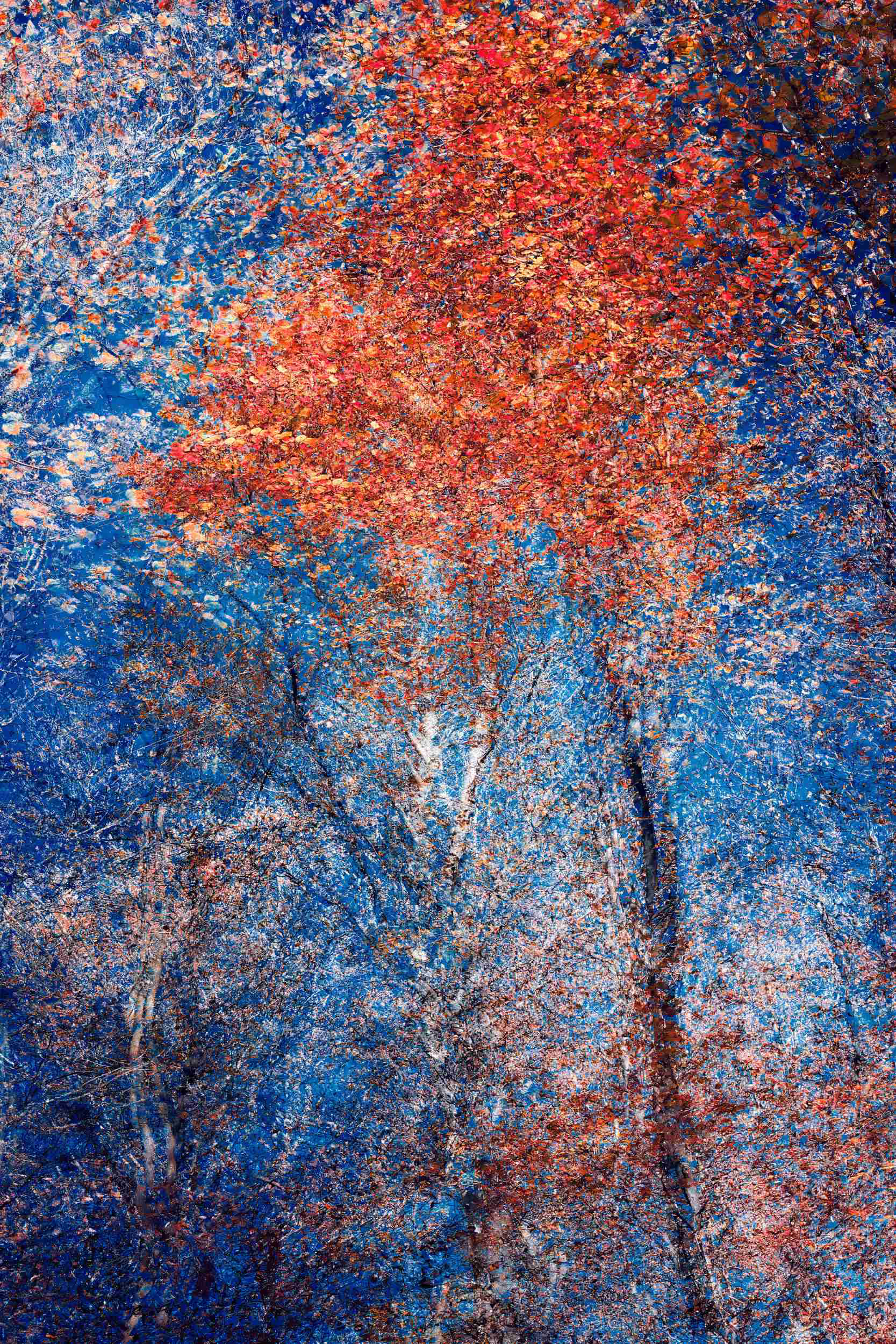 Phantom Structures: Energy of Light and Color series by Oleksandr Shapovalov. Abstract fine art photograph of tree crowns transformed into luminous structures using ICM technique.
