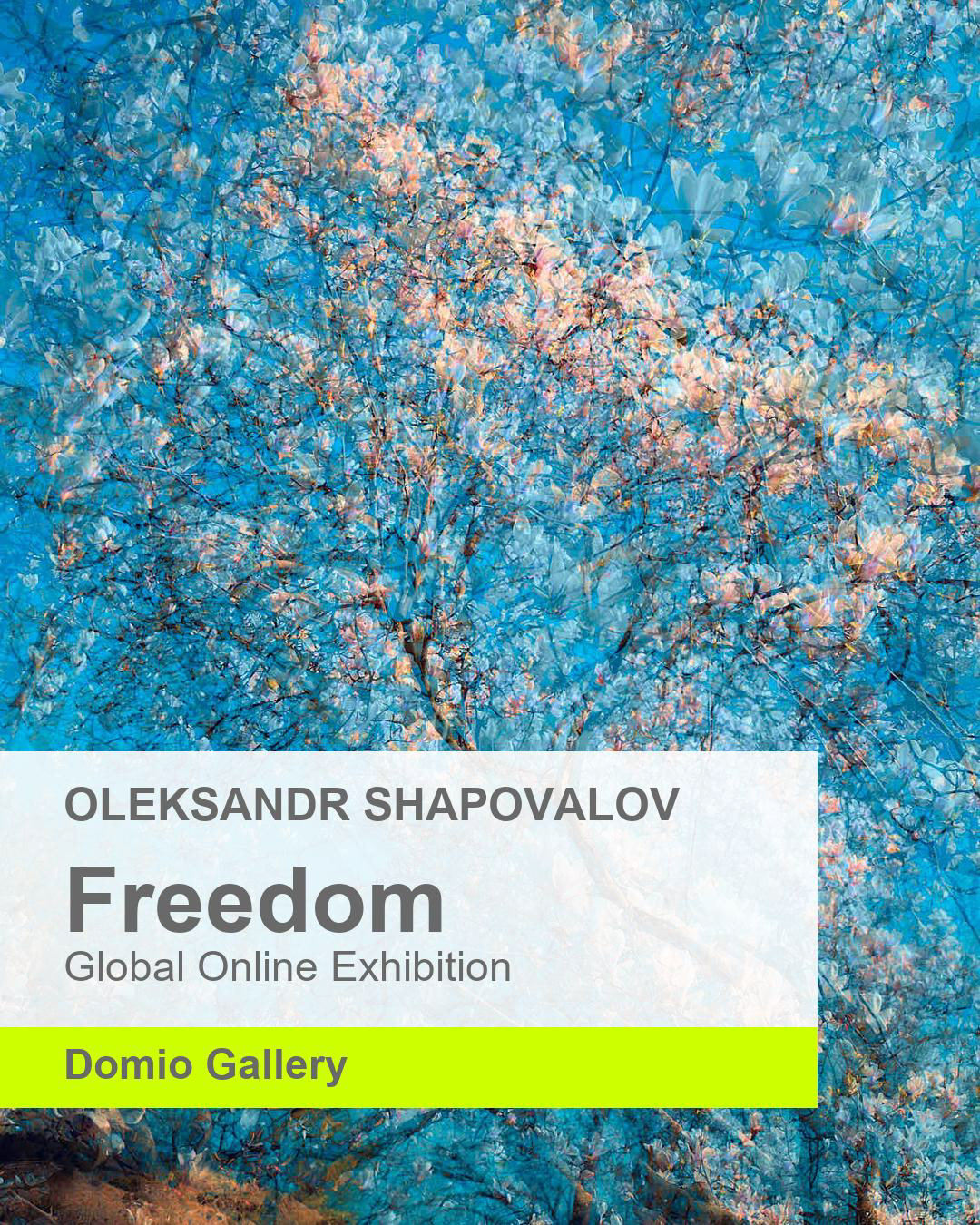 Abstract photographic artwork by Oleksandr Shapovalov, featured in the Freedom online exhibition at Domio Gallery. Soft motion, blurred forms, and light evoke a sense of inner freedom