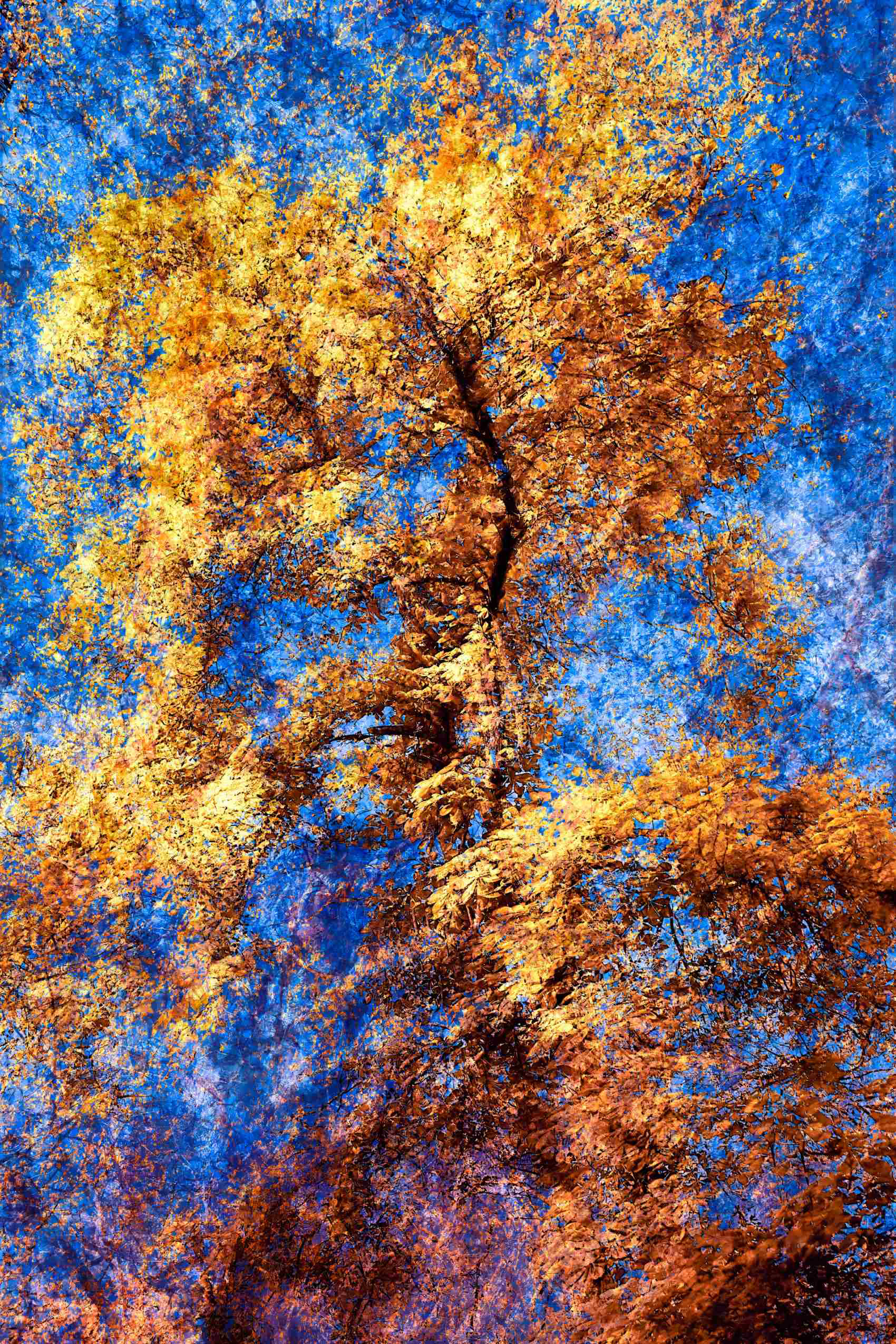 Abstract depiction of a tree crown captured with ICM technique. From Oleksandr Shapovalov “Crown of the Sky Spirits” fine art photography series.