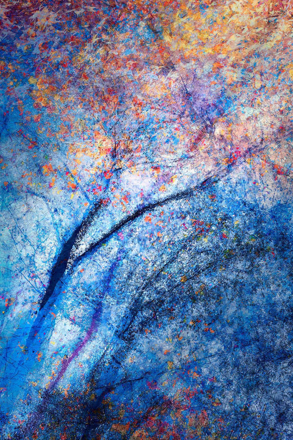 Abstract art photograph "Breath of the Hidden Grove #1" with a strong contrast of blue-purple and orange-red colors, featuring pronounced dark curved lines and layered textures.