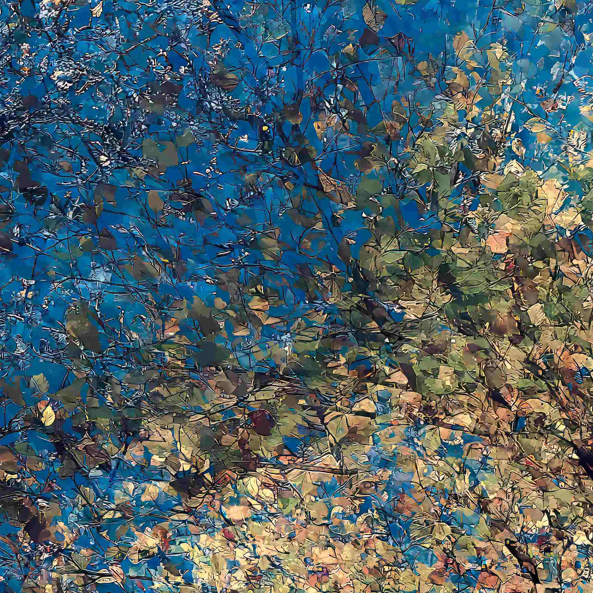 Detail
