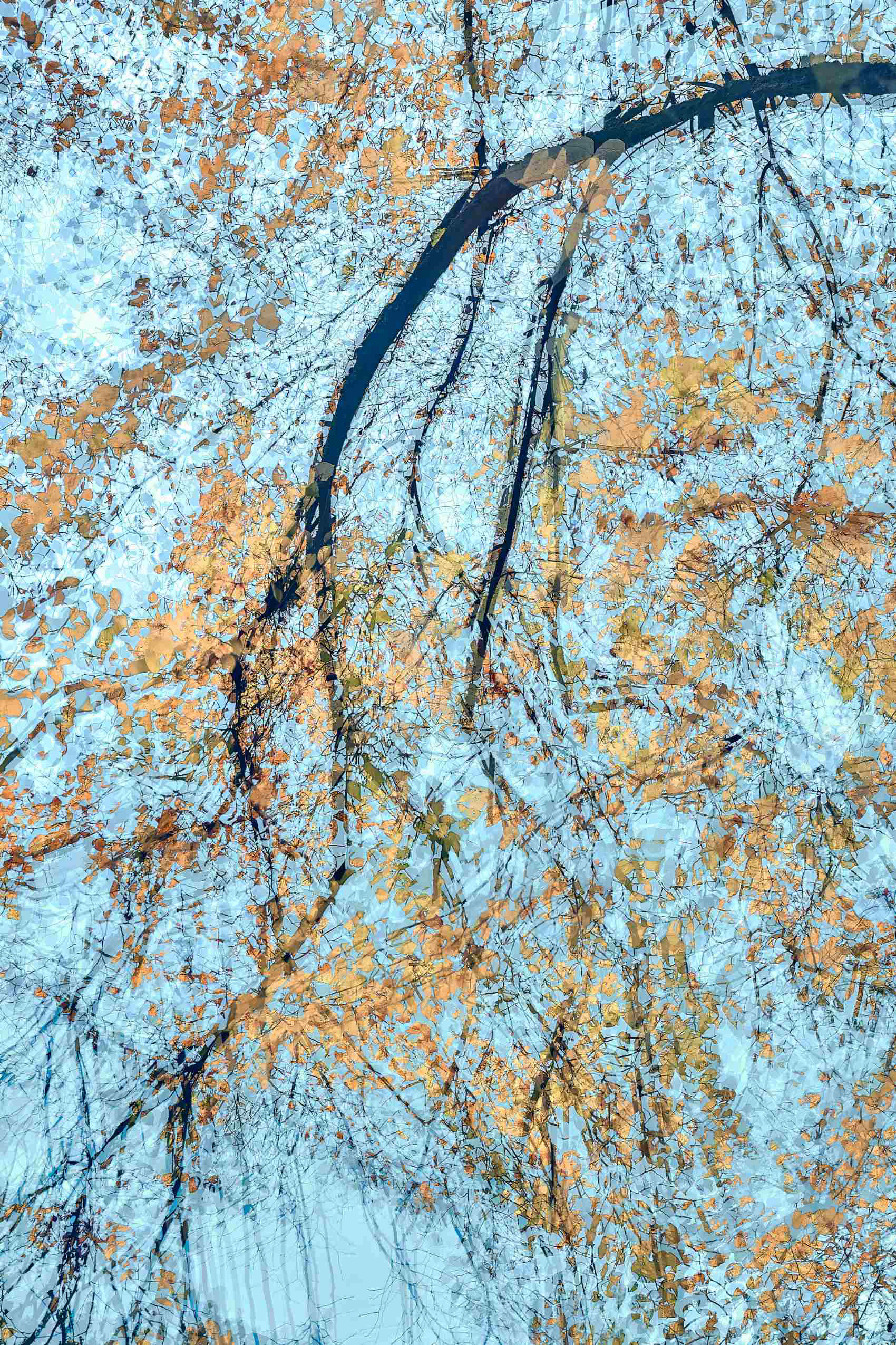 Fine art photograph from the “Caress of Time” series by Oleksandr, featuring abstract autumn branches and reflections captured with ICM technique.