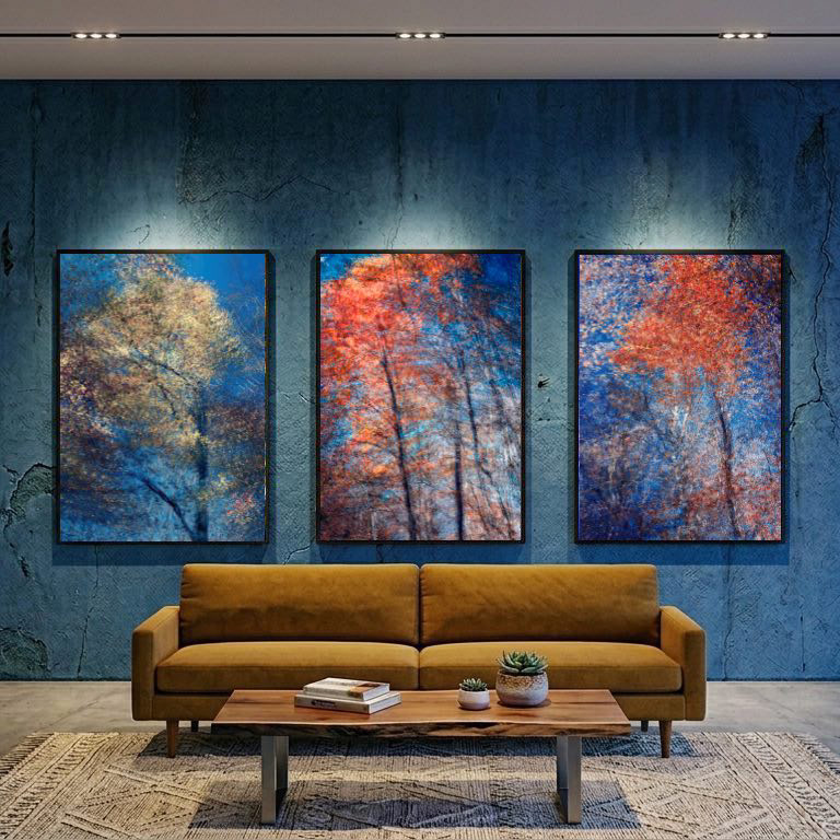 Conceptual landscape photography showing phantom layers of light and color in a forest, abstract shifting forms of trees captured in-camera, edited in RAW converter