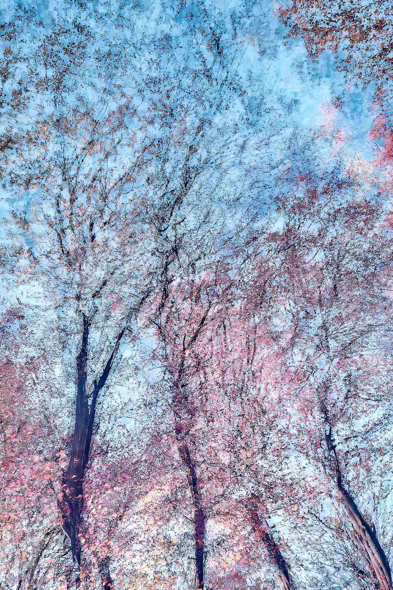 Limited edition abstract fine art photography print by Oleksandr Shapovalov