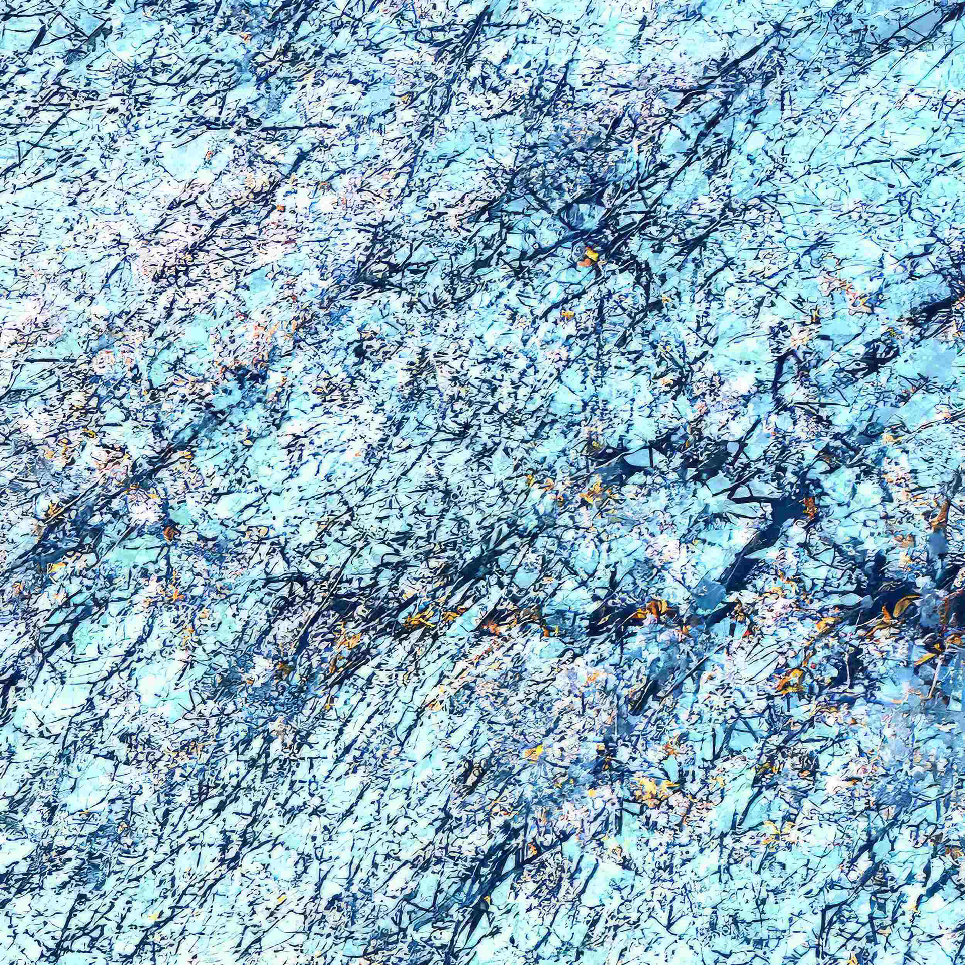 Detail