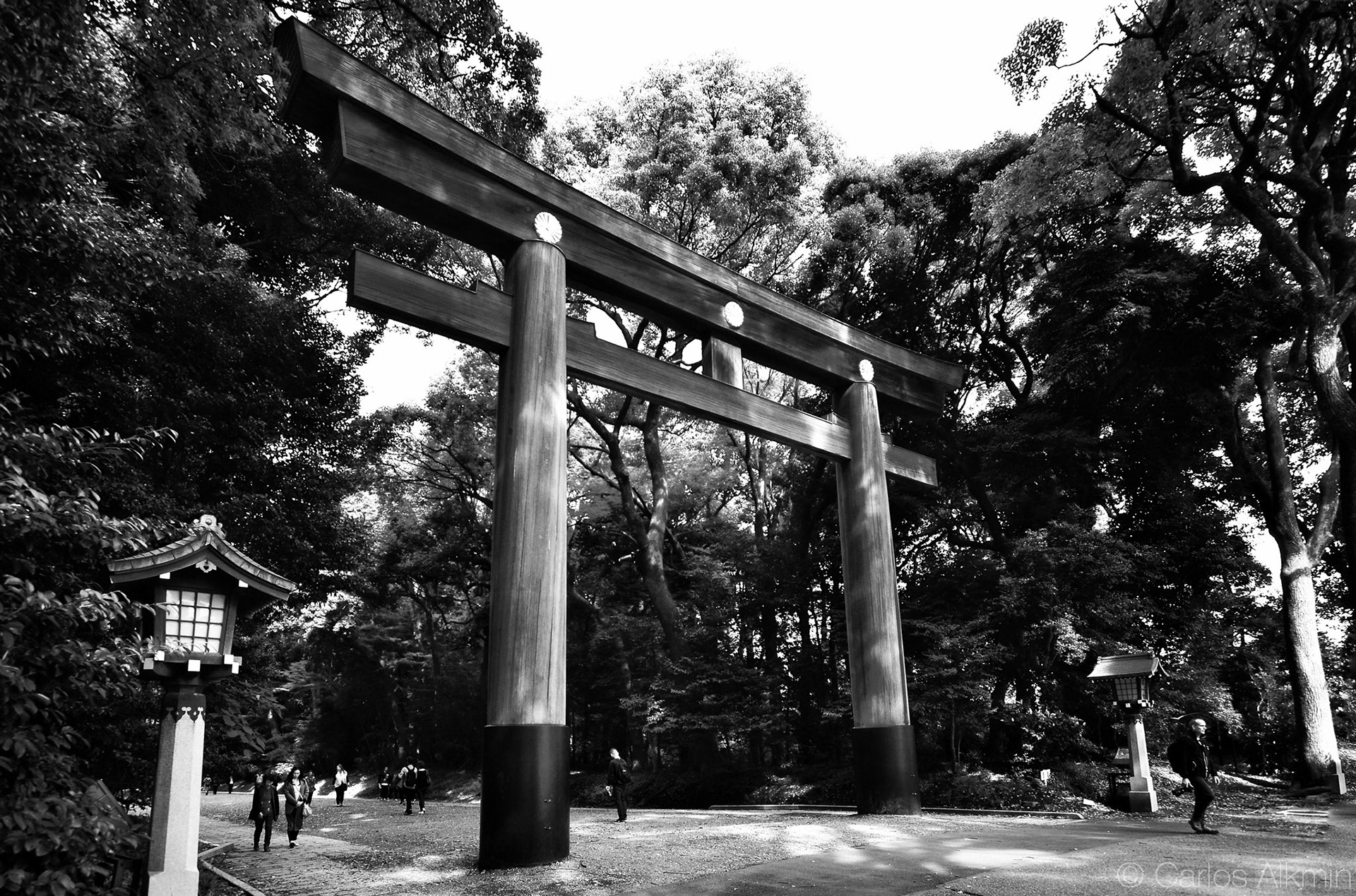 Tokyo, Japan - Meiji Jingu Park