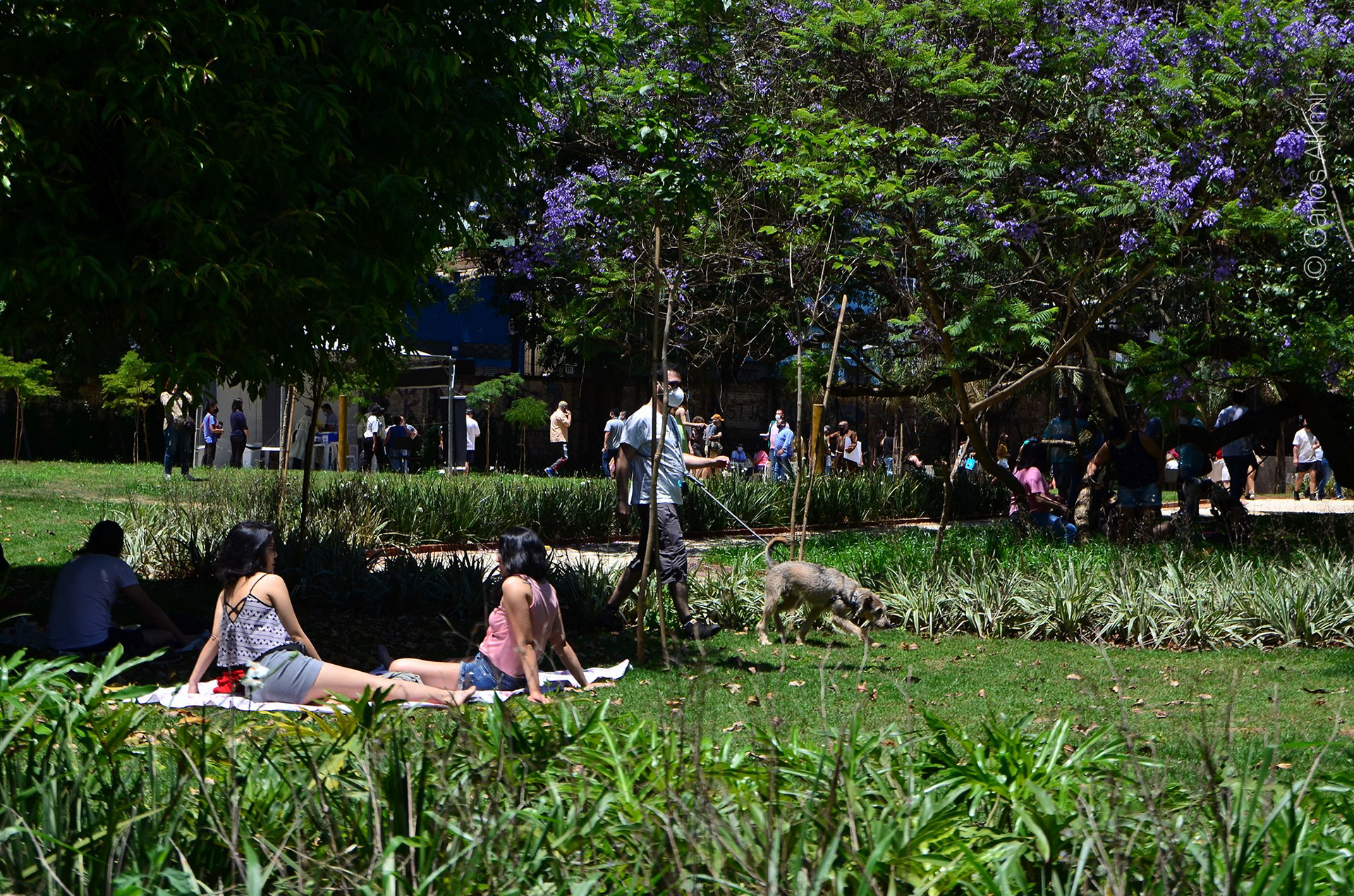 Parque Augusta
