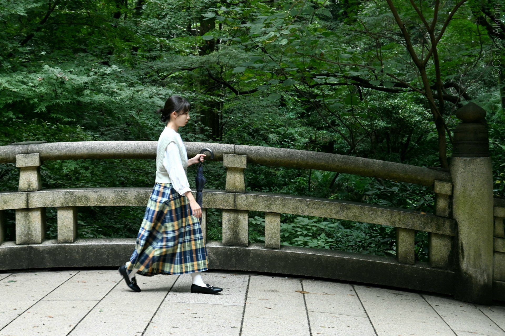Tokyo, Japan - Meiji Jingu Park