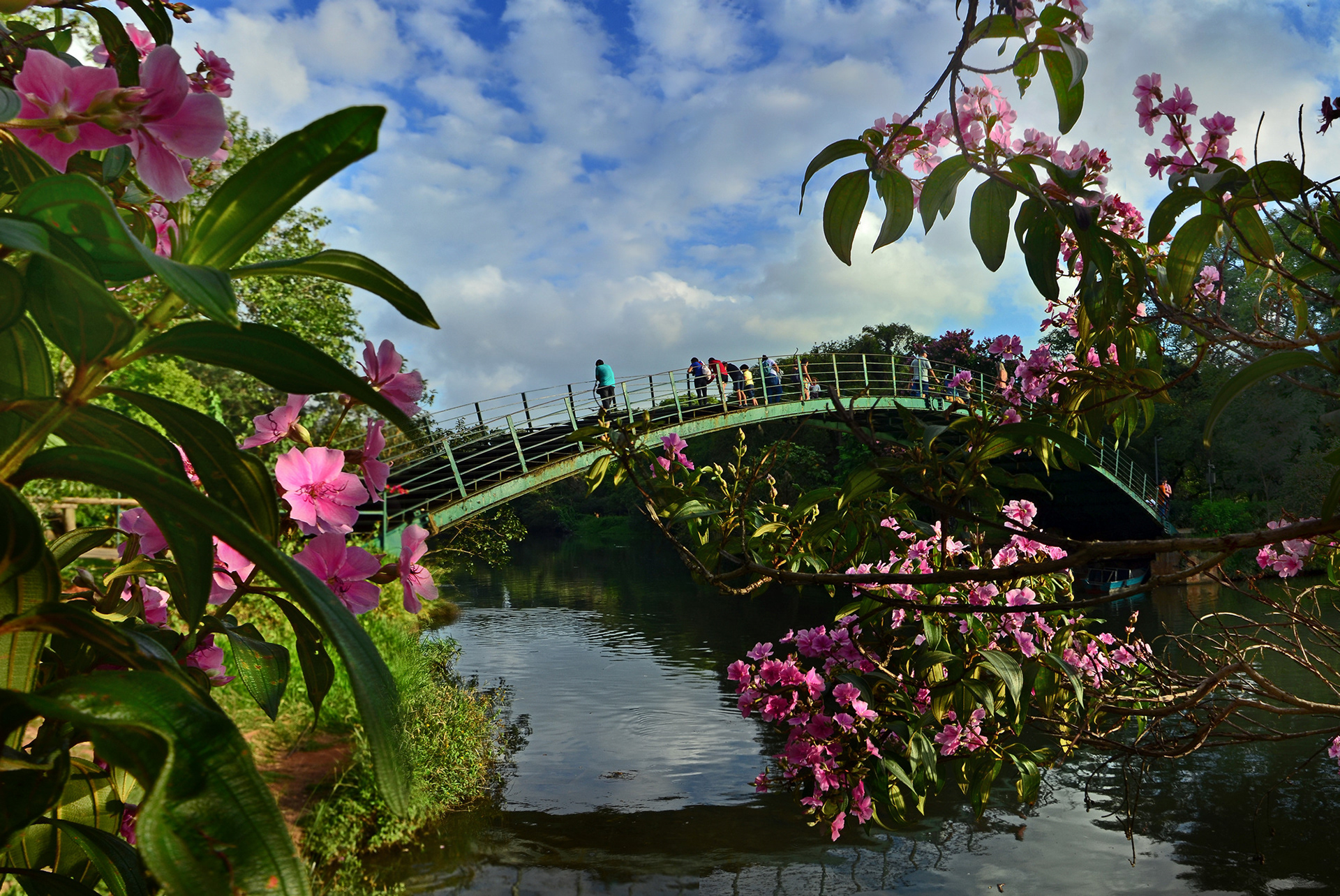 Parque Ibirapuera - Ponte Metálica