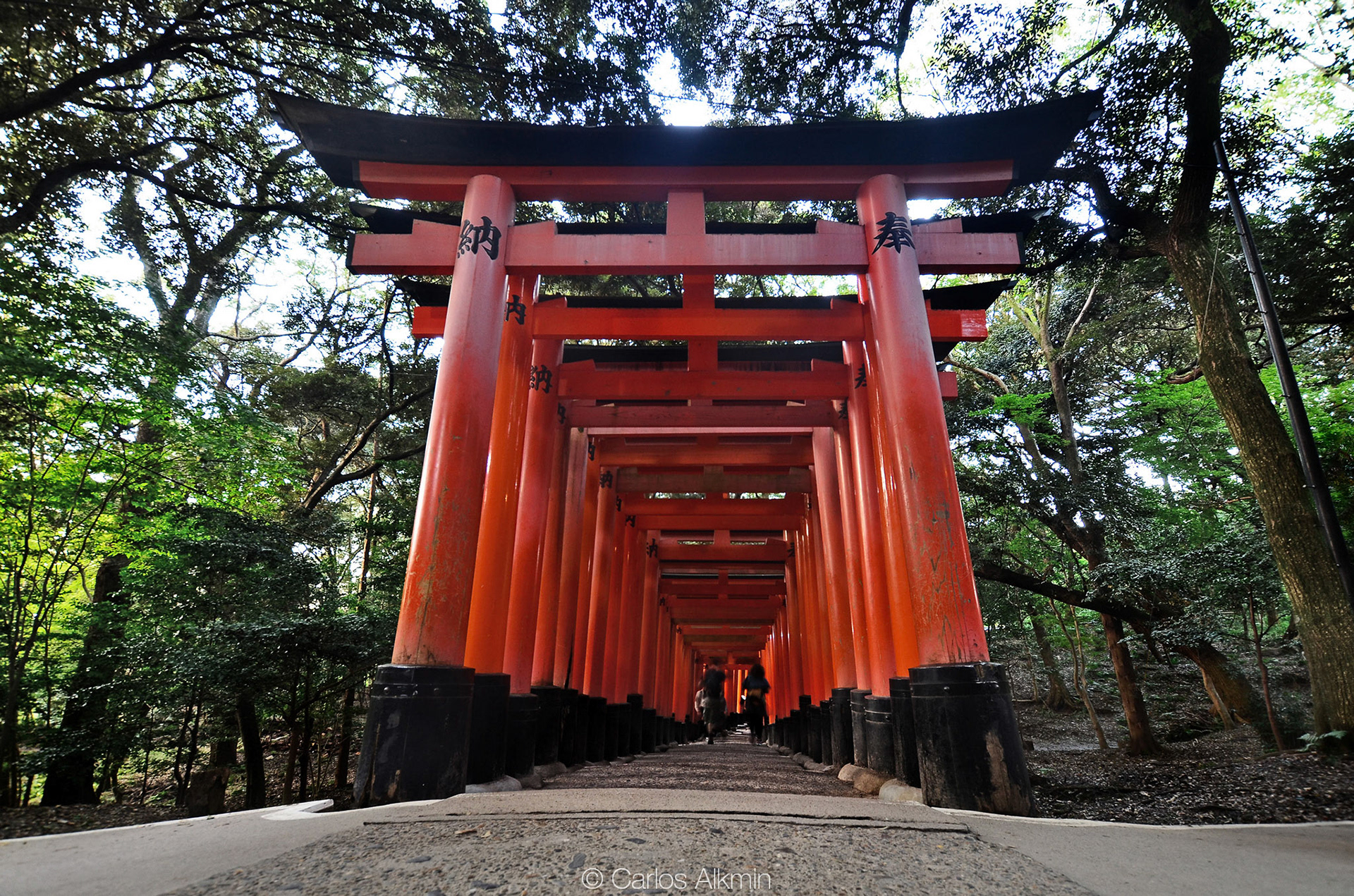 Kyoto, Japan - Fushimi Inari-taisha