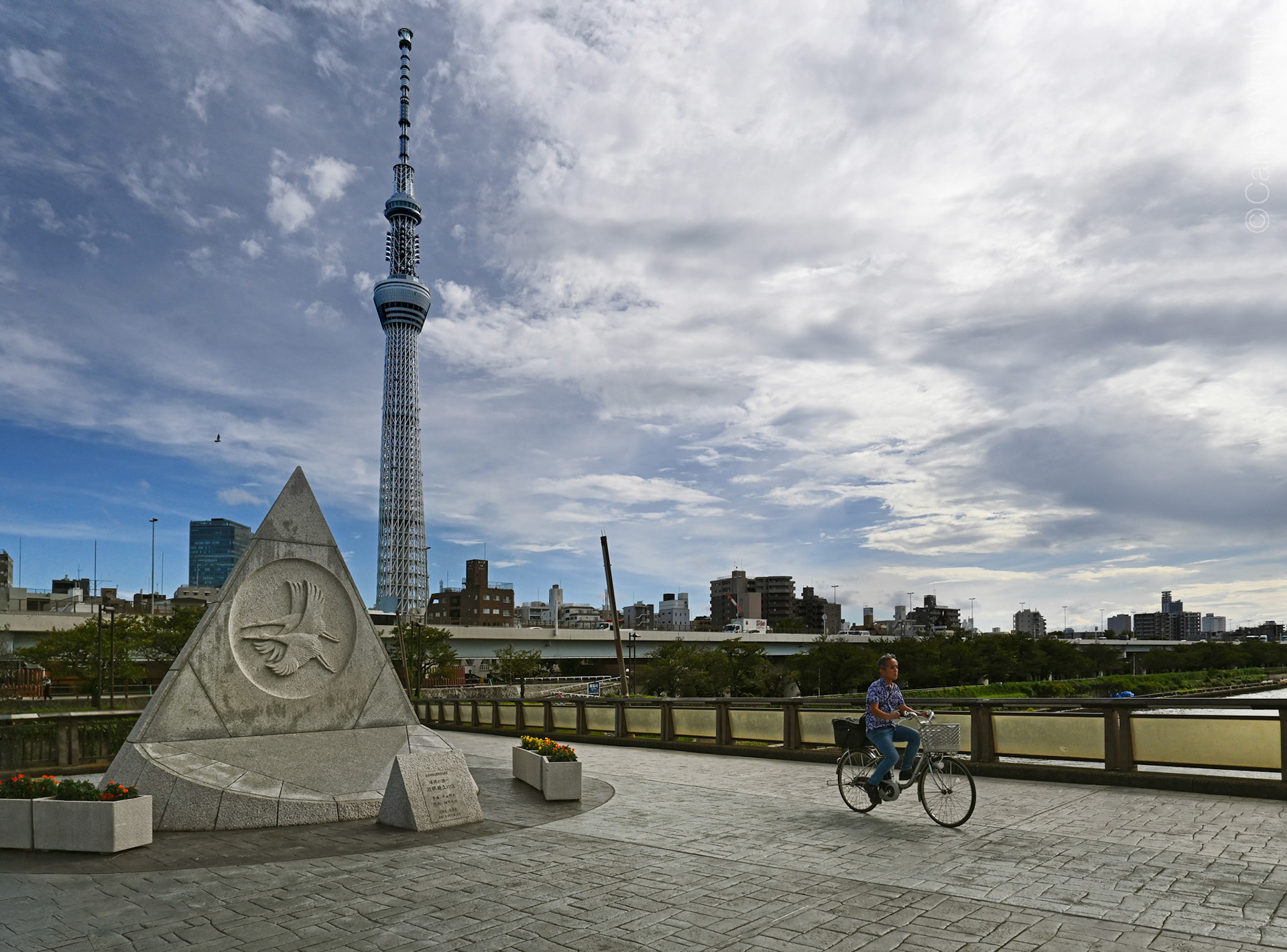 Tokyo, Japan - Sakurabashi (Sakura Bridge)