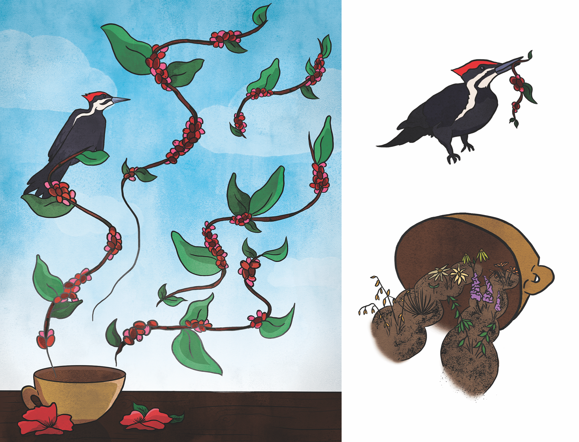 Corporate Illustration