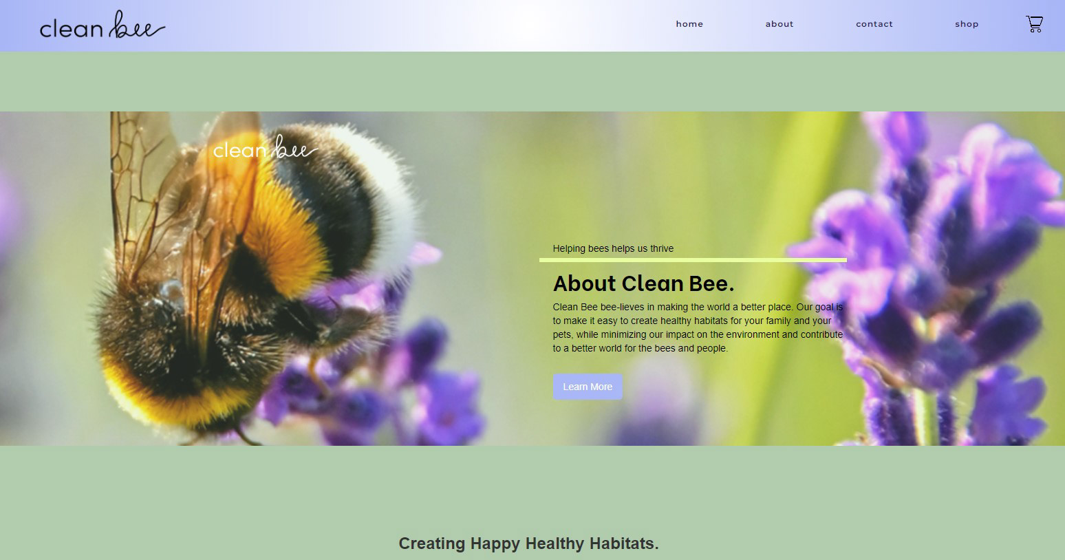 About Clean Bee section