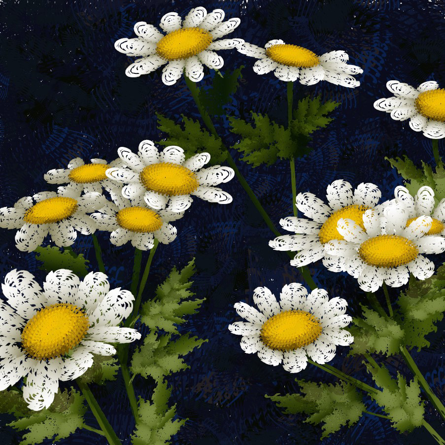 Wild Daisies