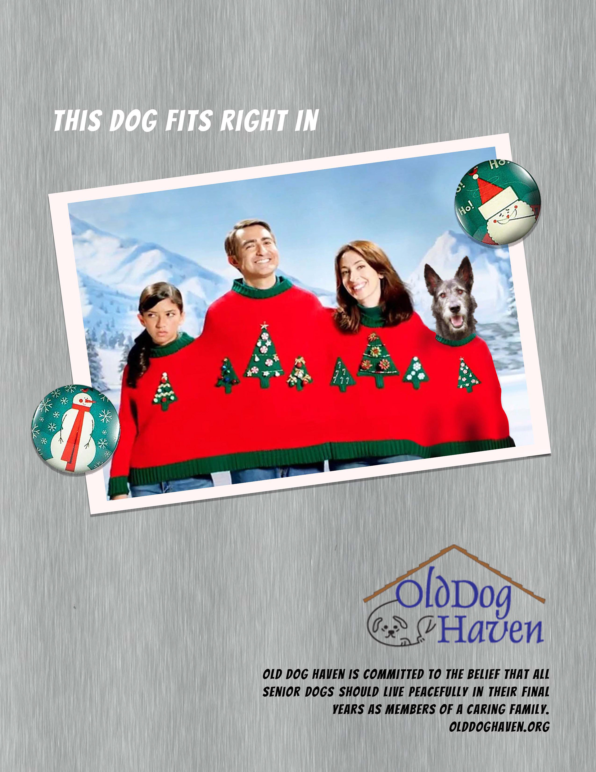 Non Profit Dog Shelter