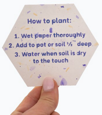 Seed paper