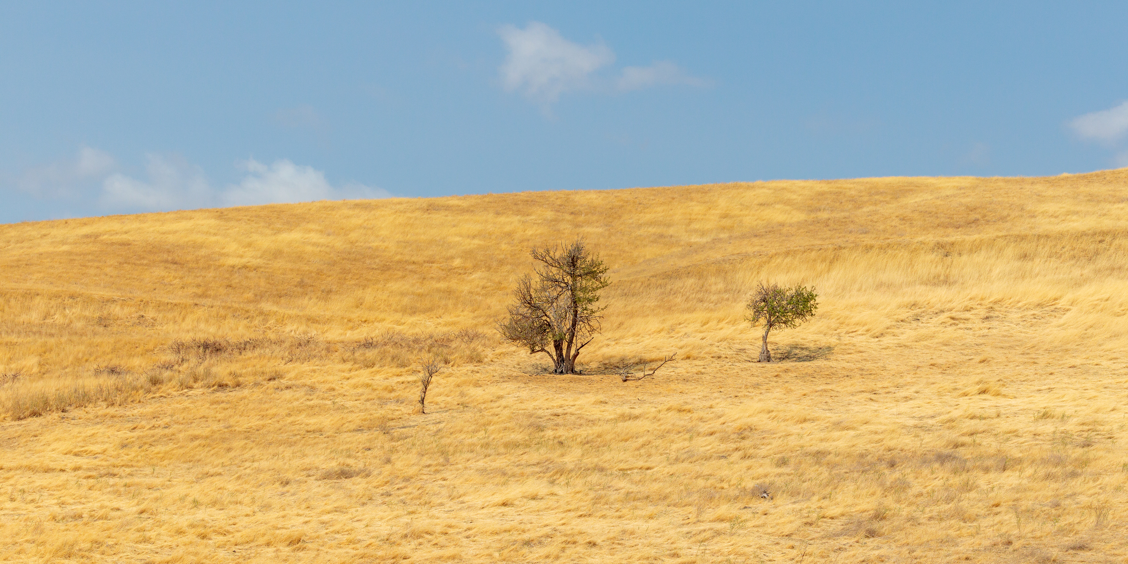 Columbia HIlls State Park