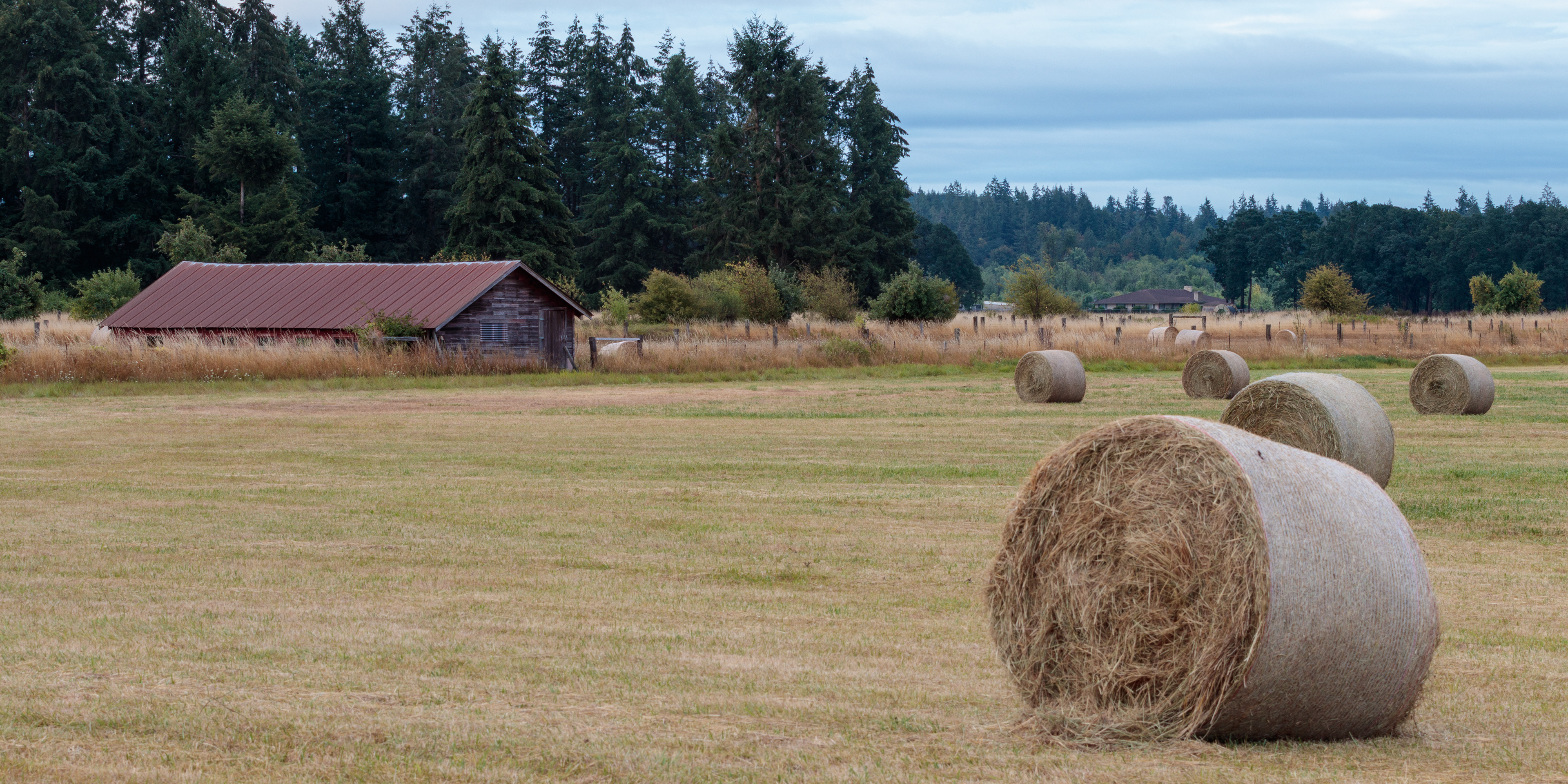 Farm, Bordeaux, WA 