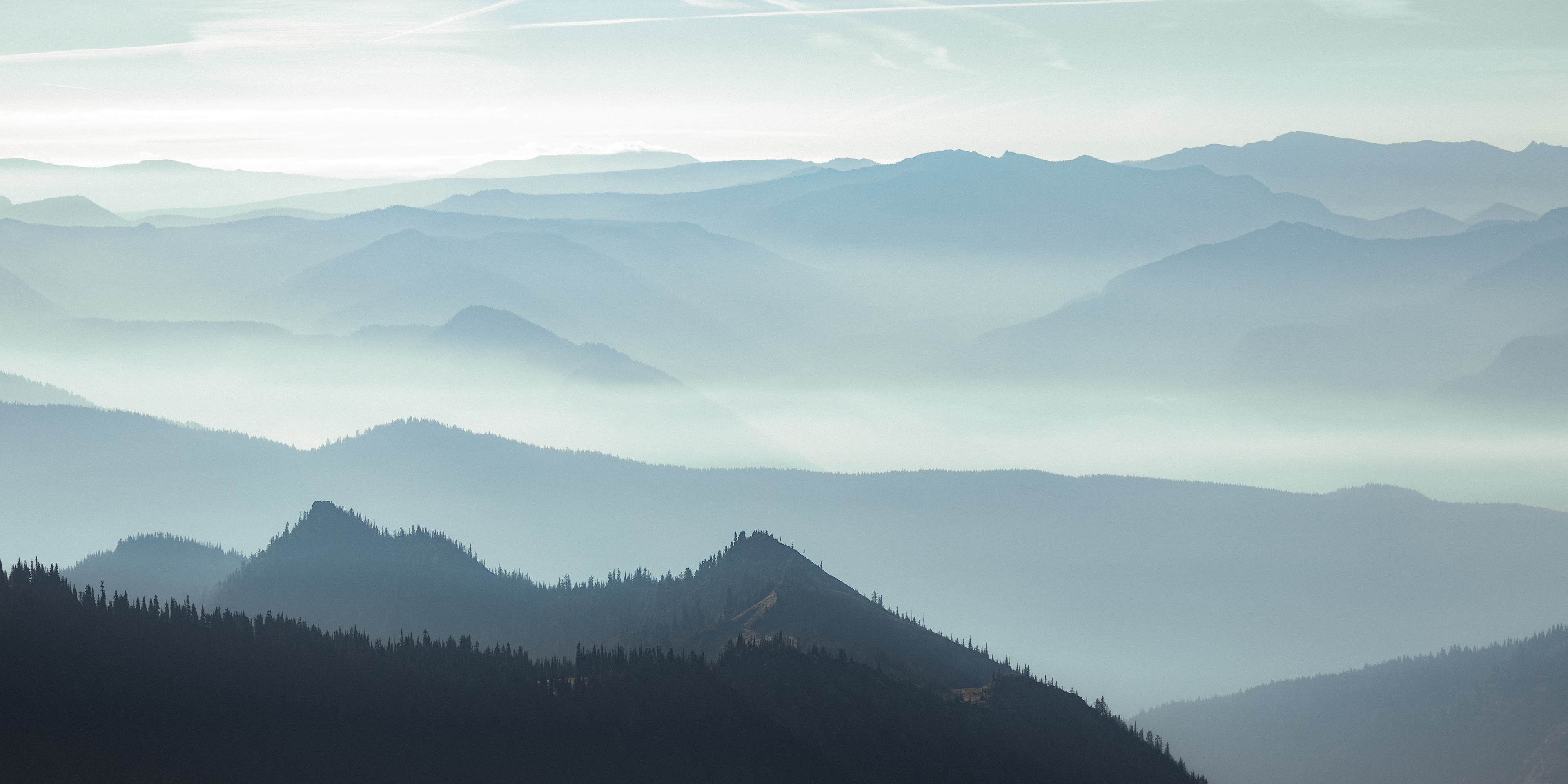 View From Skyline Trail, Mt. Rainier