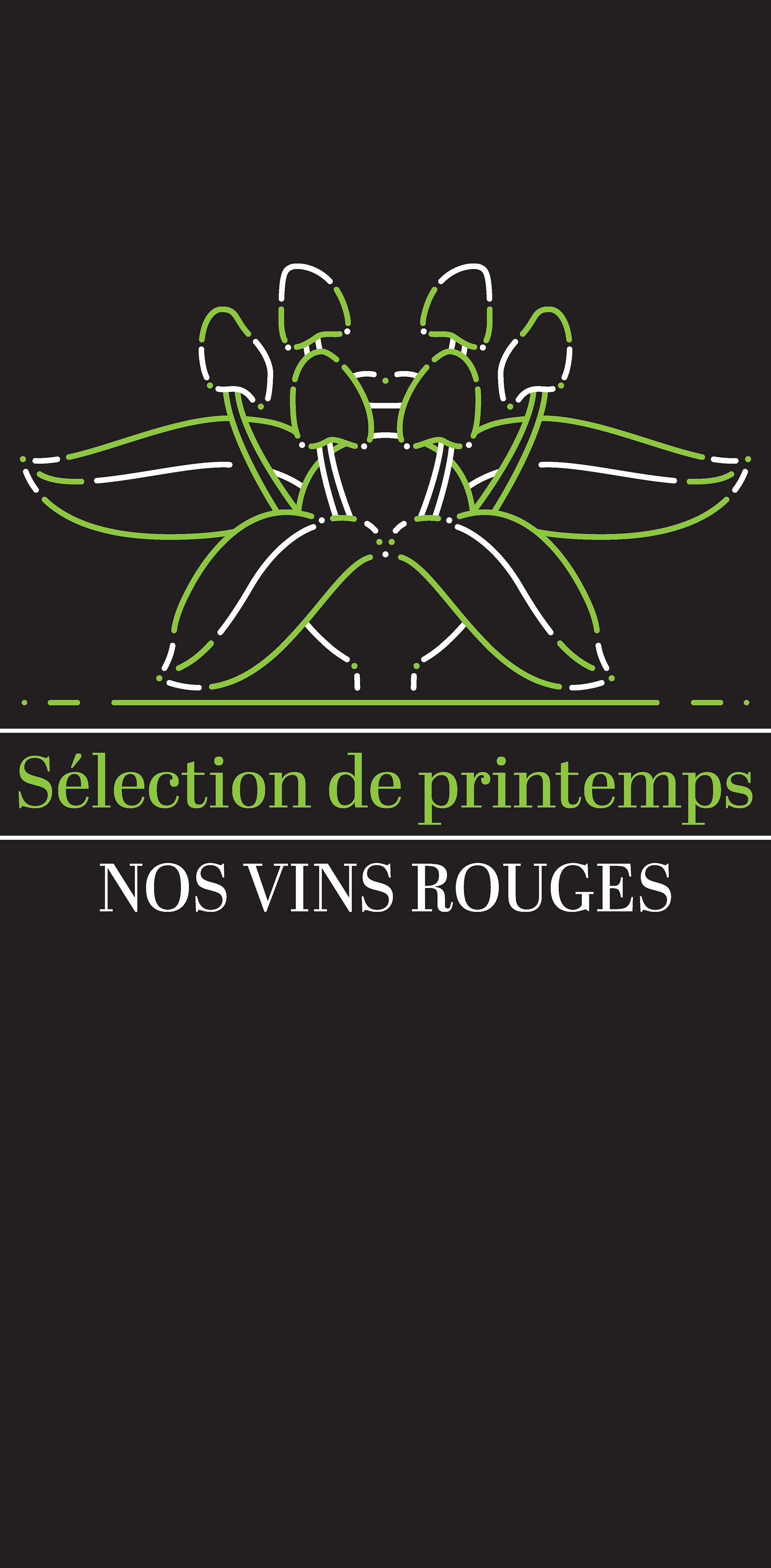 Vitrophanie de printemps 2