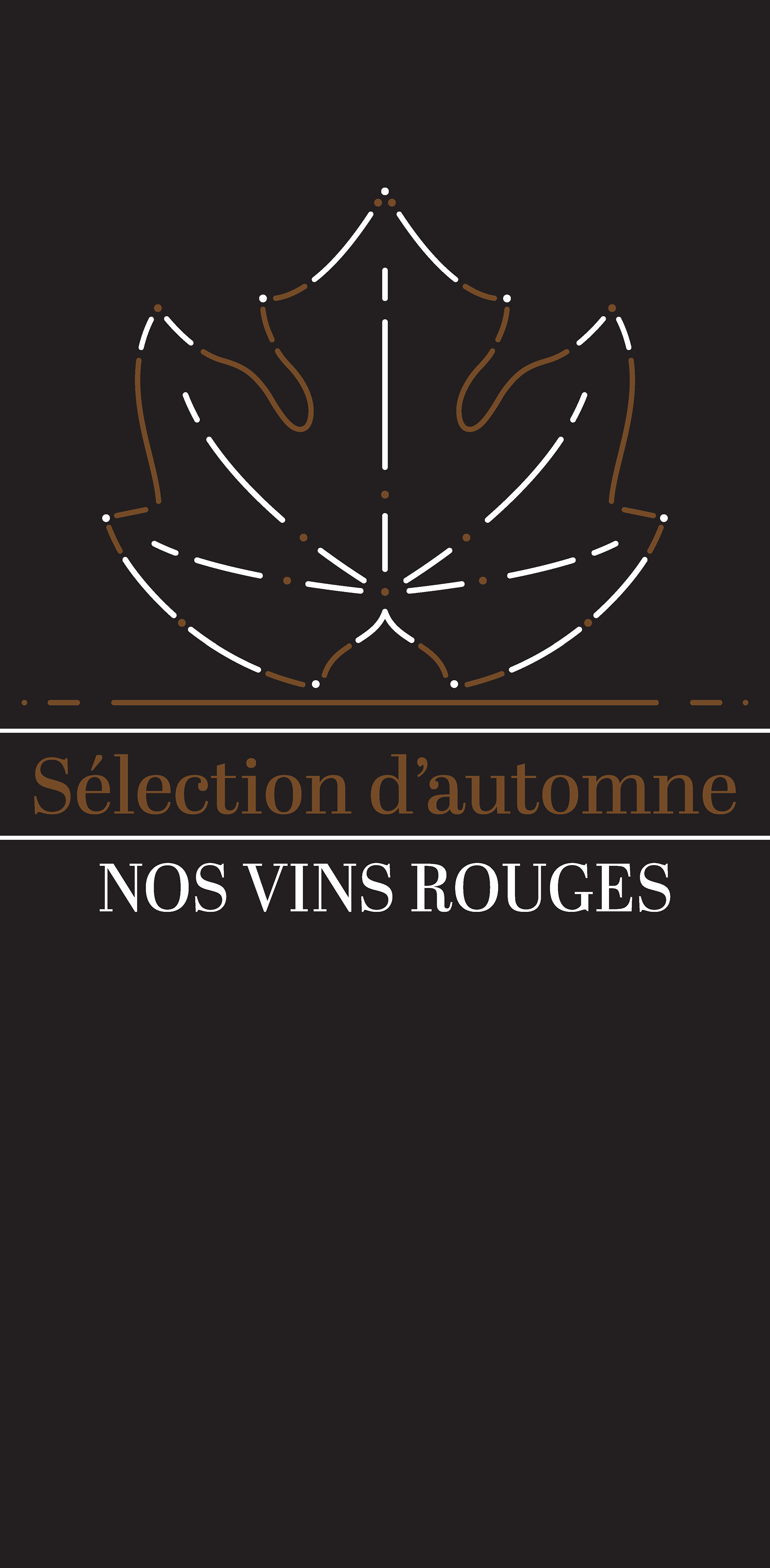 Vitrophanie d'automne 2