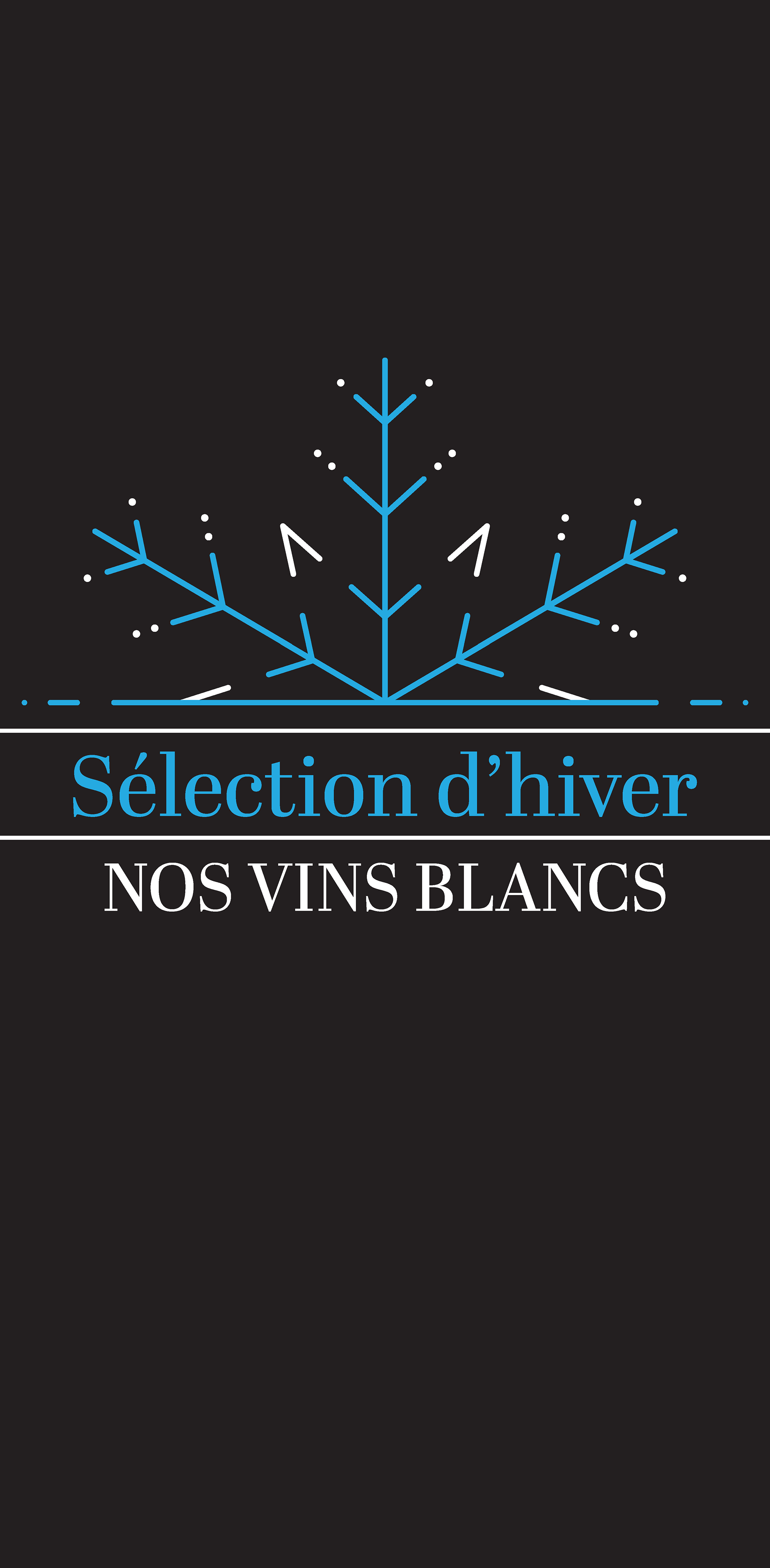 Vitrophanie d'hiver 1