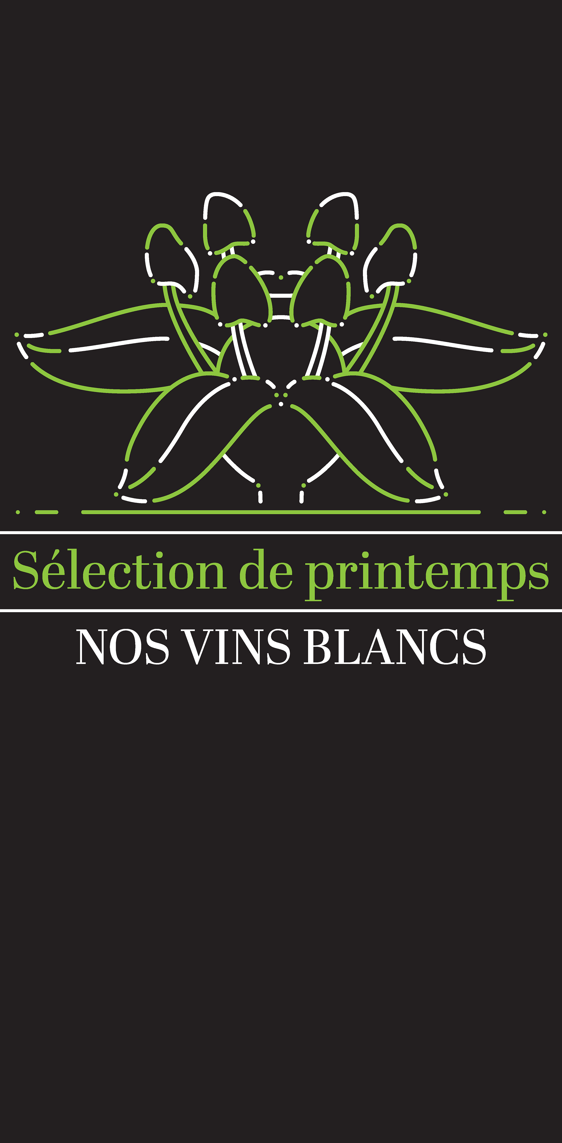 Vitrophanie de printemps 1