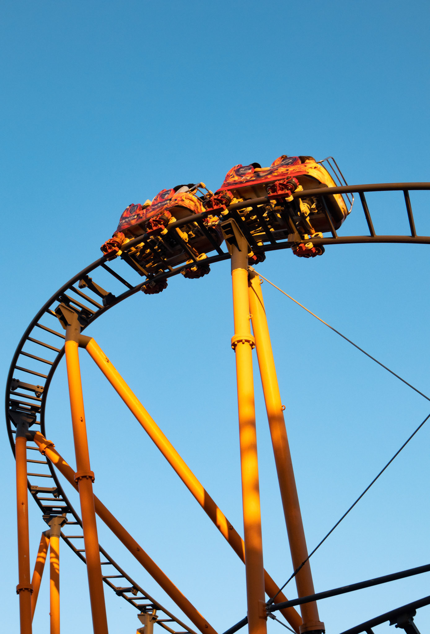 Orange coaster