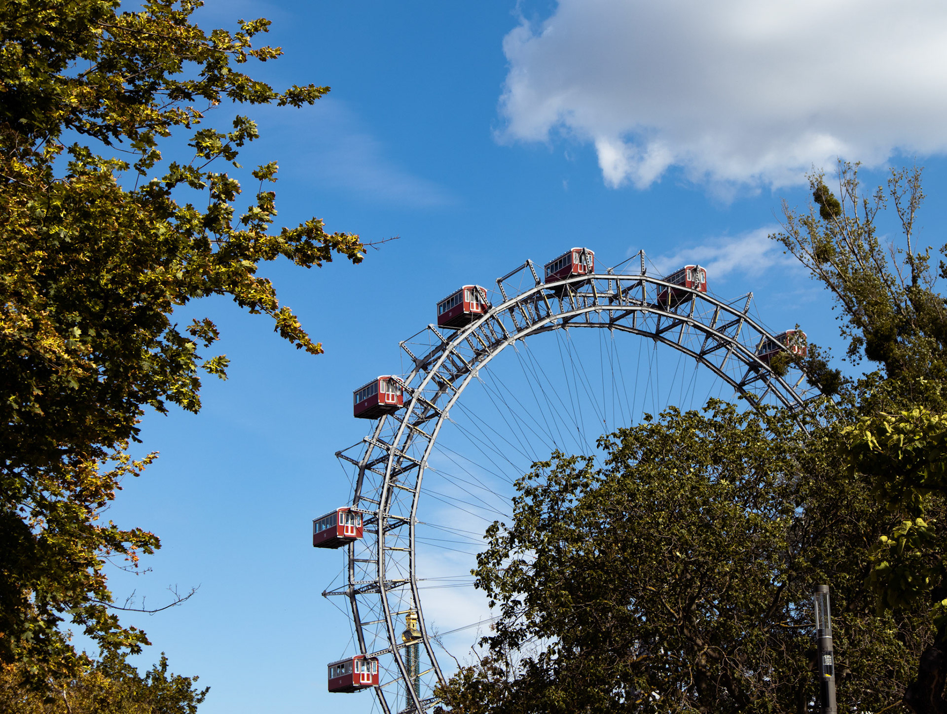 Riesenrad through trees