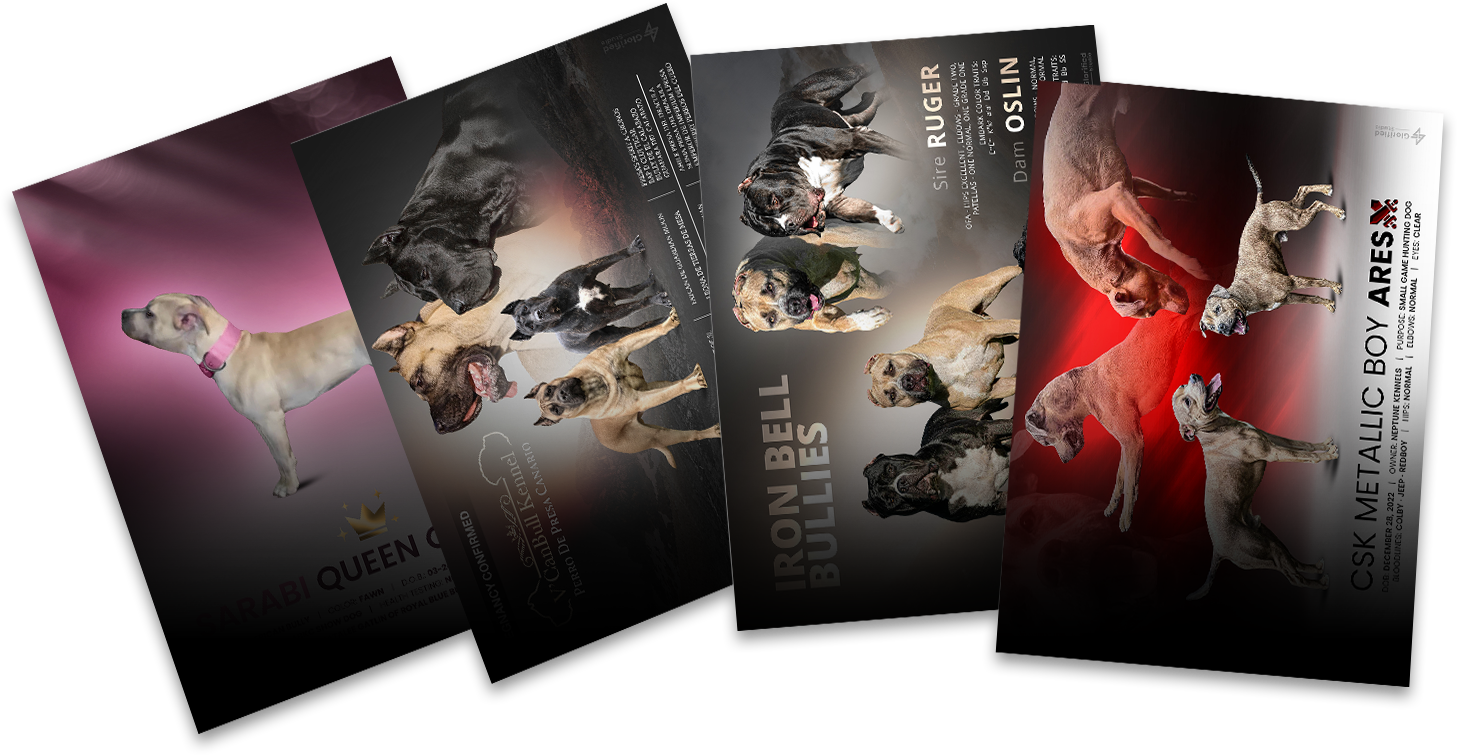 clean, modern, bold graphics for breeders. Professional graphic design for breeders. Glorified design studio.