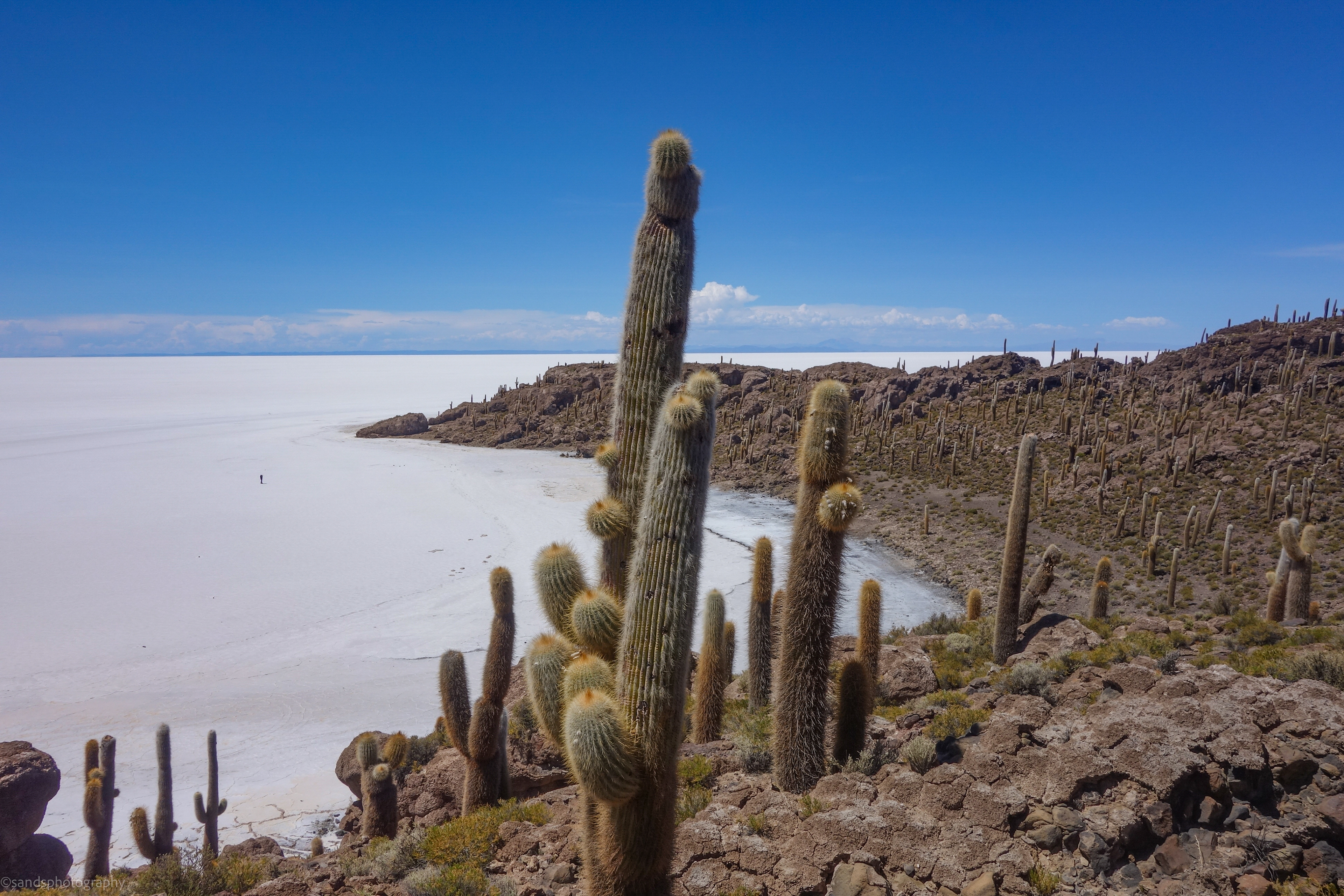 Isla del Pescado, Salar de Uyuni