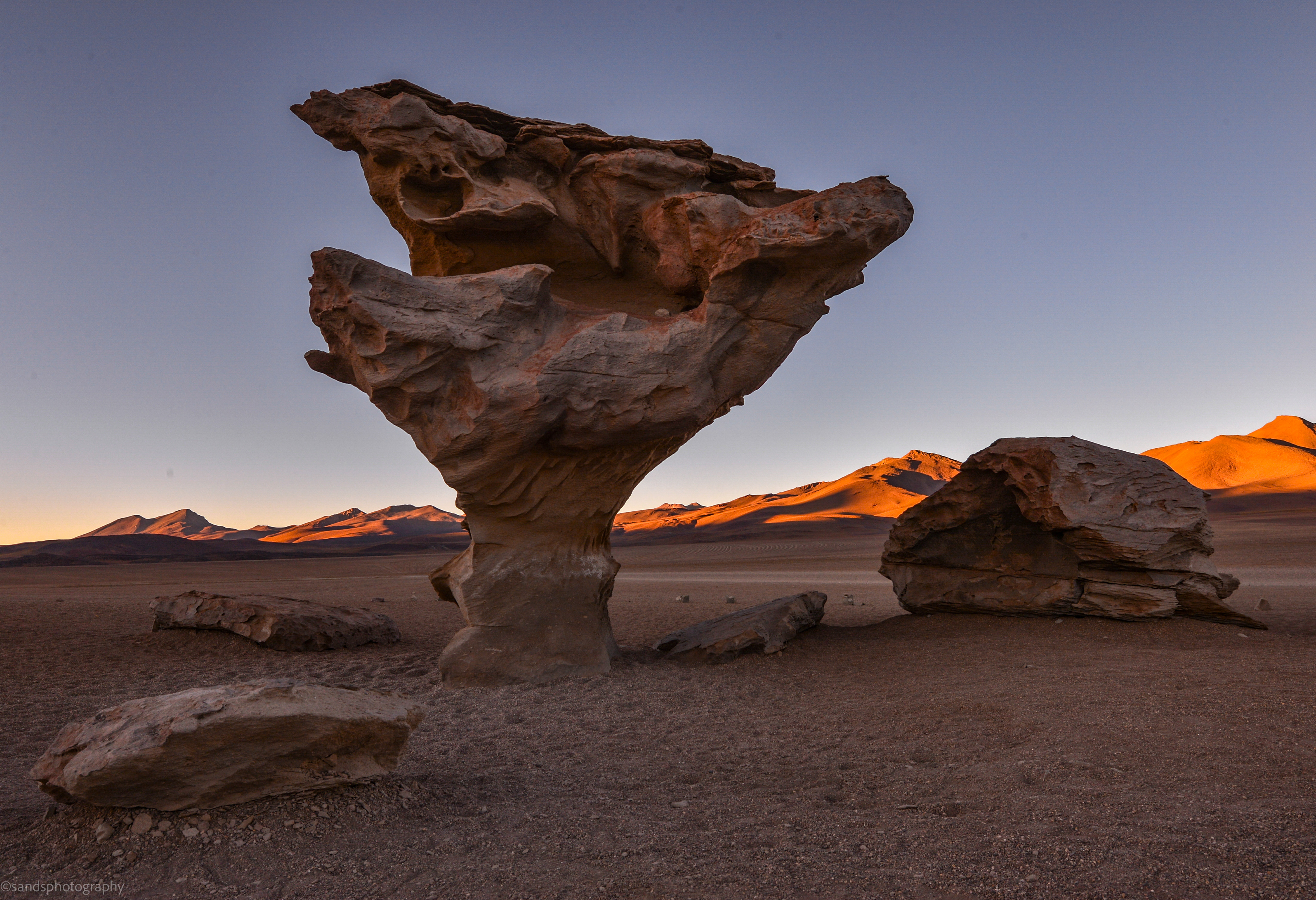 Stone tree in the Siloli Desert, Bolivia 4,550 m